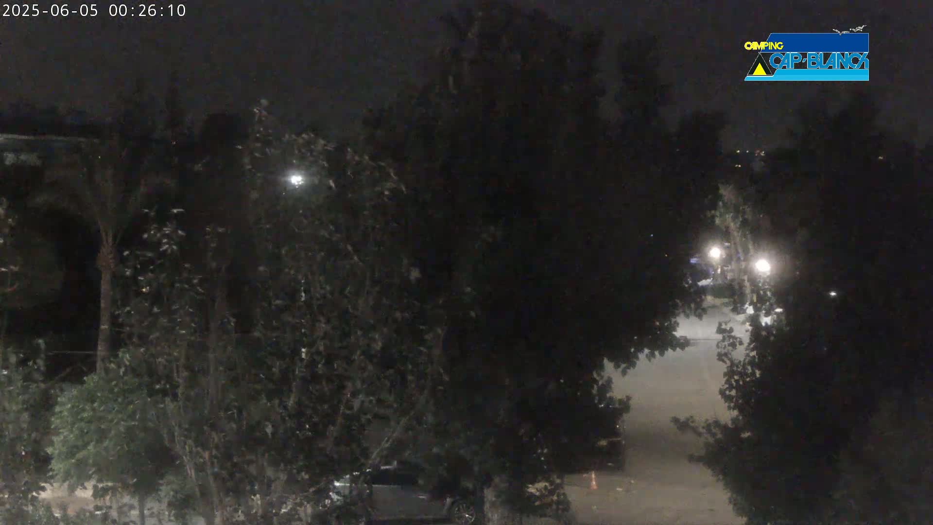 A nighttime view shows a dark street partially visible through thick, shadowy trees, under a dark sky.