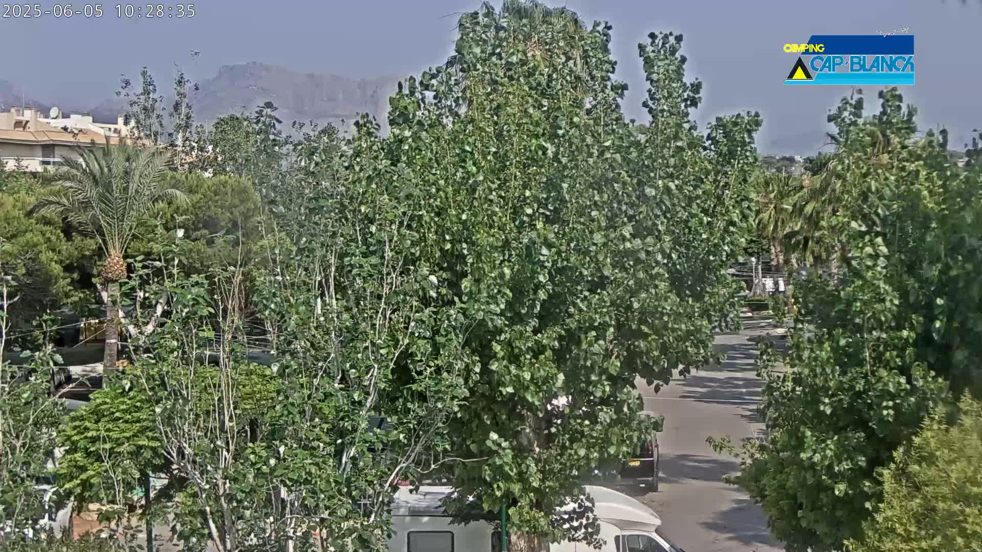 A street lined with lush green trees and vegetation, with mountains visible in the distance under a clear sky.