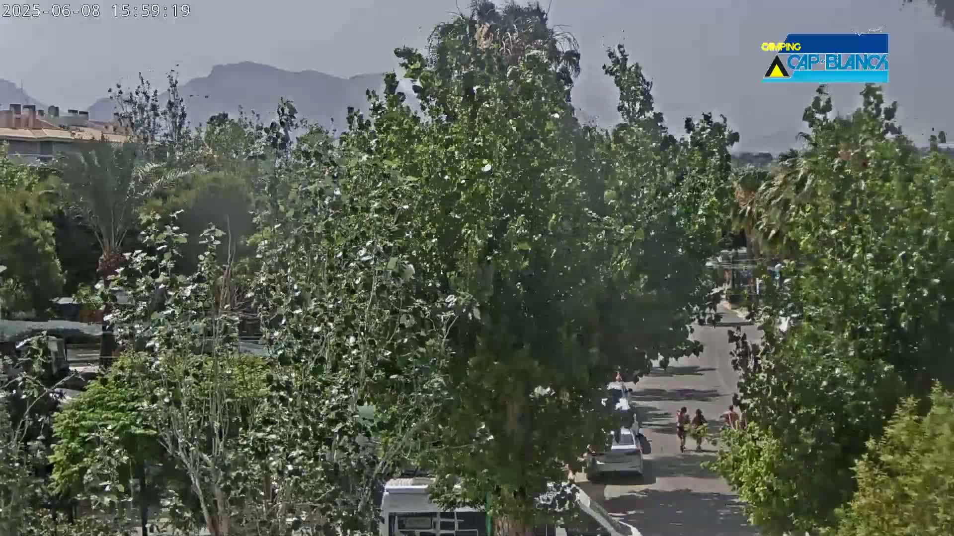 A partly sunny view of a residential street lined with lush green trees, with a few people walking on the road and cars parked along the side, mountains visible in the background.