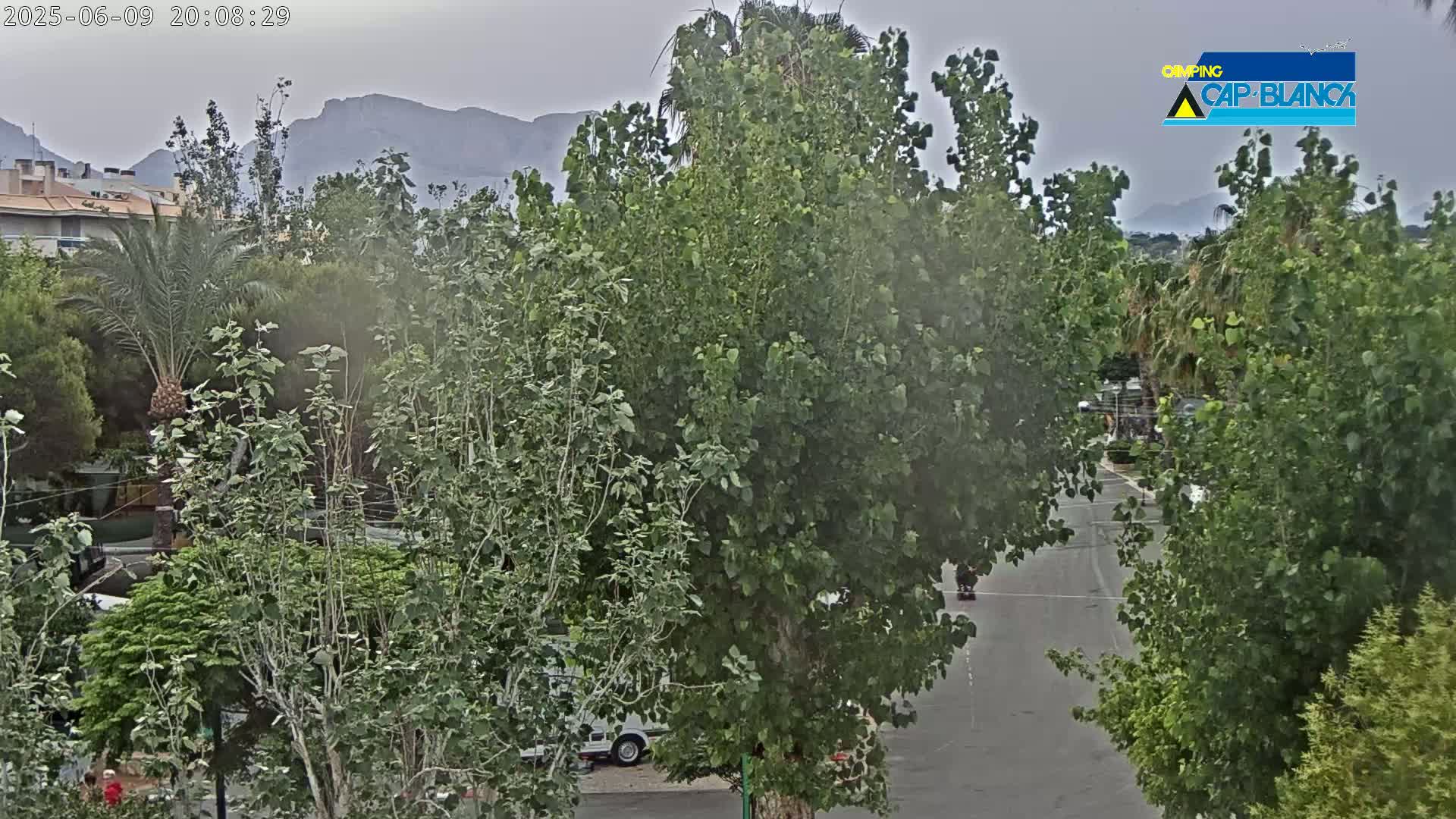 A view of lush green trees and shrubs, a paved road, and distant mountains under an overcast sky.
