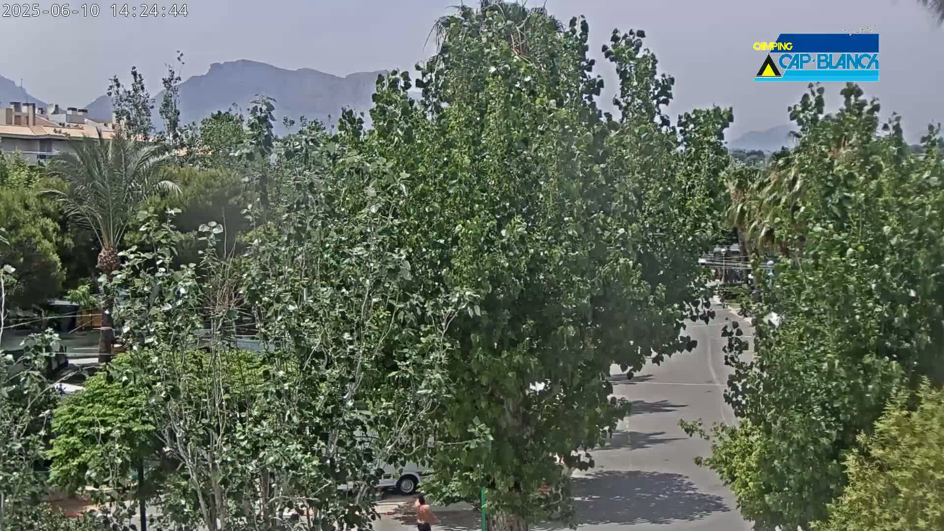 A man walks on a road between lush green trees and buildings under a hazy sky with mountains in the distance.