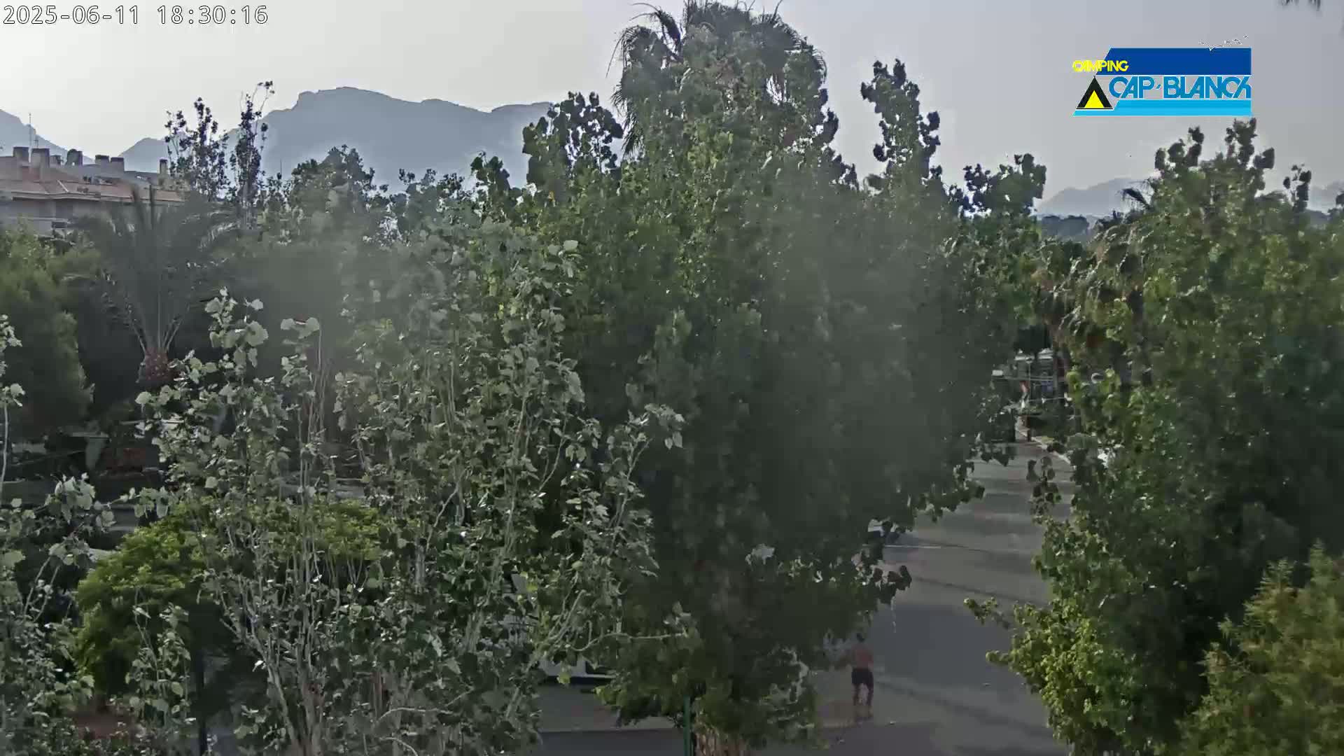 A hazy view shows a man walking on a road surrounded by lush green trees and distant mountains under a hazy sky.