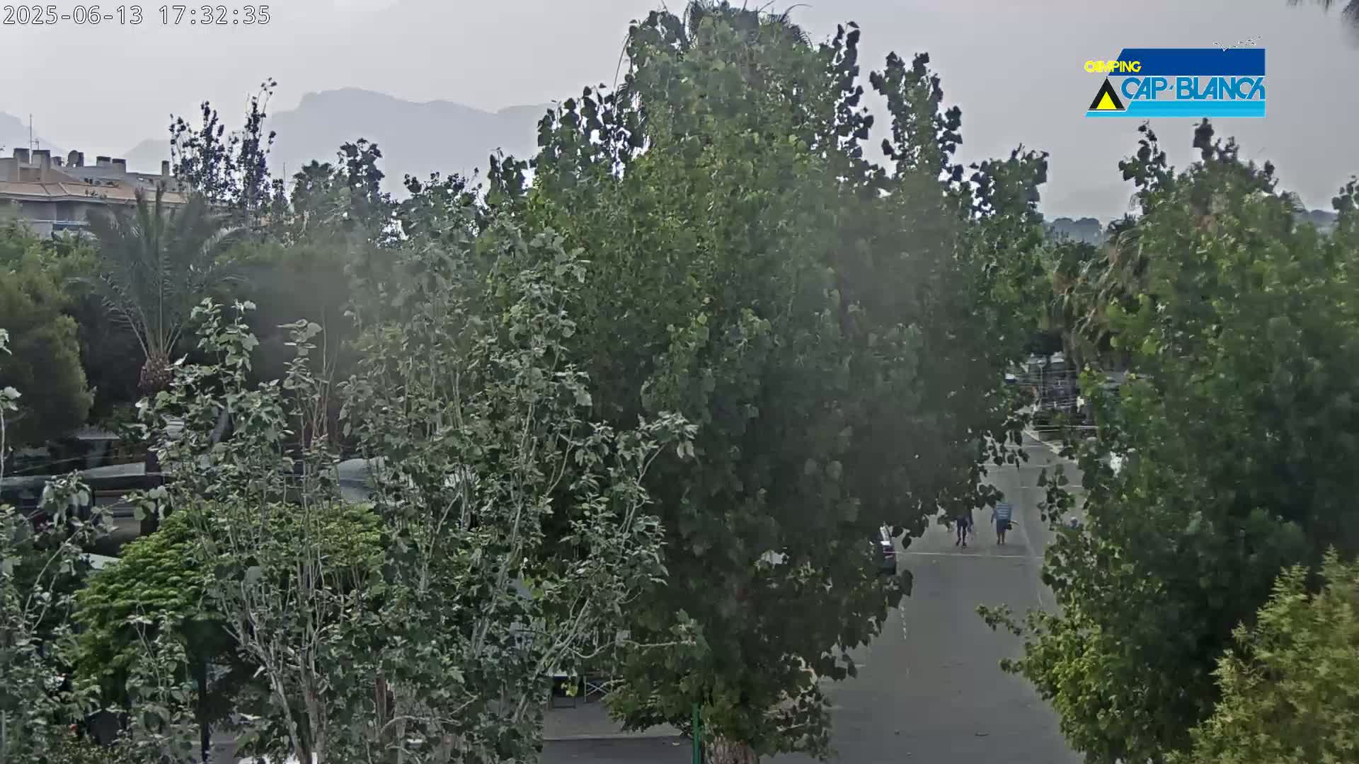 A hazy view of a street scene shows lush green trees and vegetation, a few people walking, and buildings in the distance under an overcast sky.