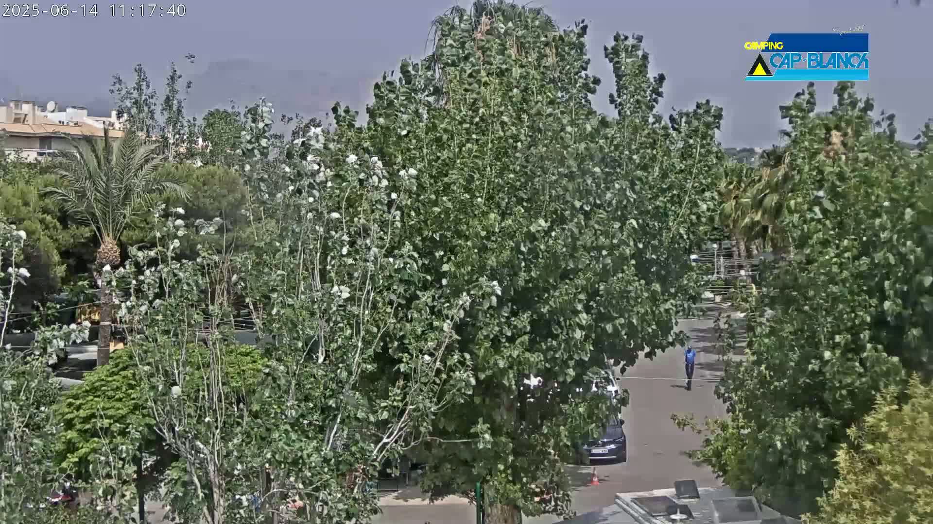 A mostly sunny, hazy day reveals a view of a parking lot partially obscured by lush green trees and bushes, with a few cars visible and a person walking in the distance.