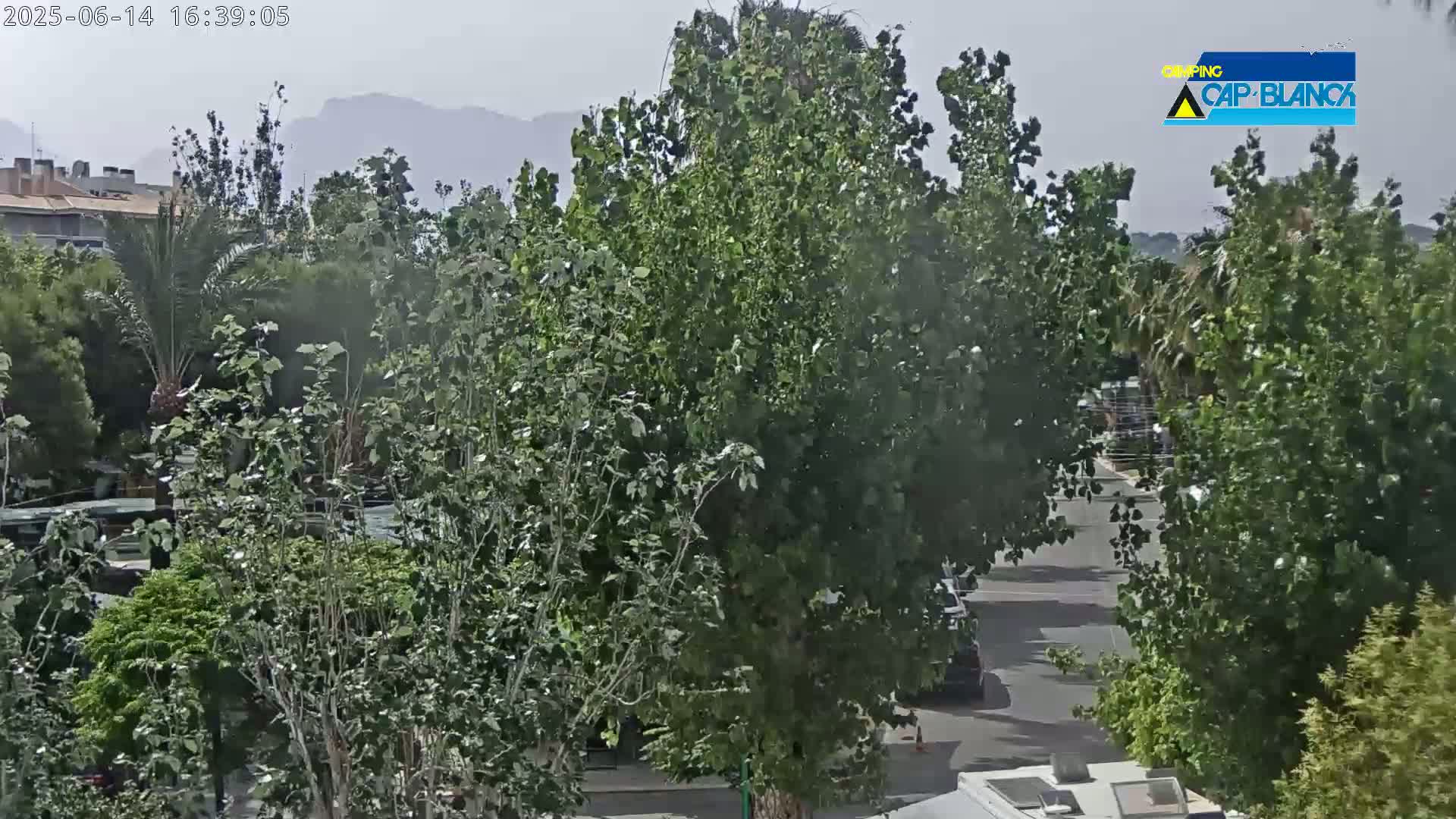 A hazy, sunny day reveals a street scene partially obscured by lush green trees and vegetation, with mountains visible in the background.