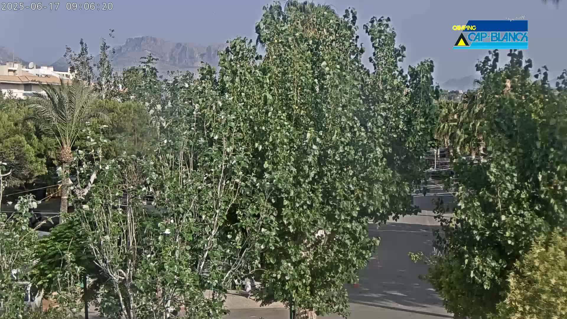 A hazy, sunny day is visible over lush green trees and shrubs, with distant mountains in the background.