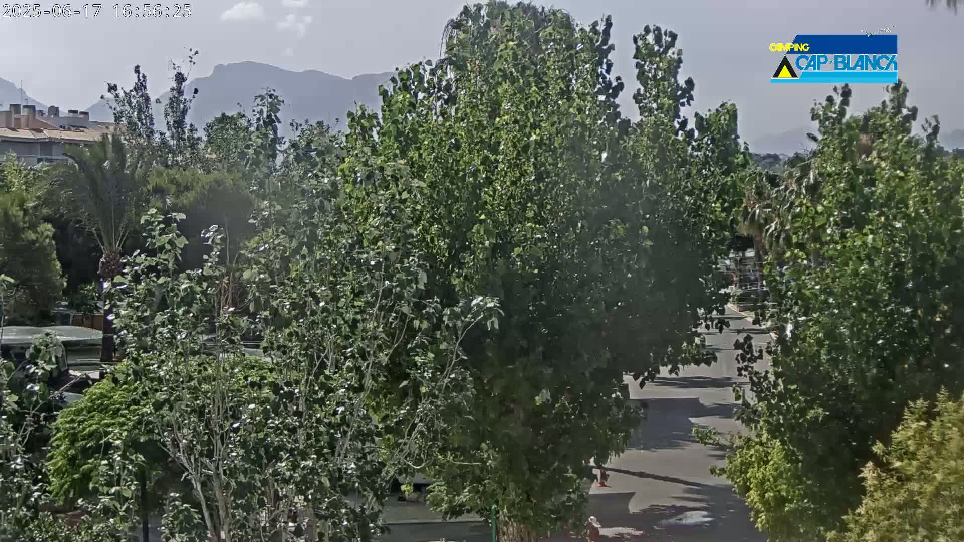 A mostly sunny day reveals a paved road lined with leafy green trees and bushes, with buildings and mountains visible in the distance.