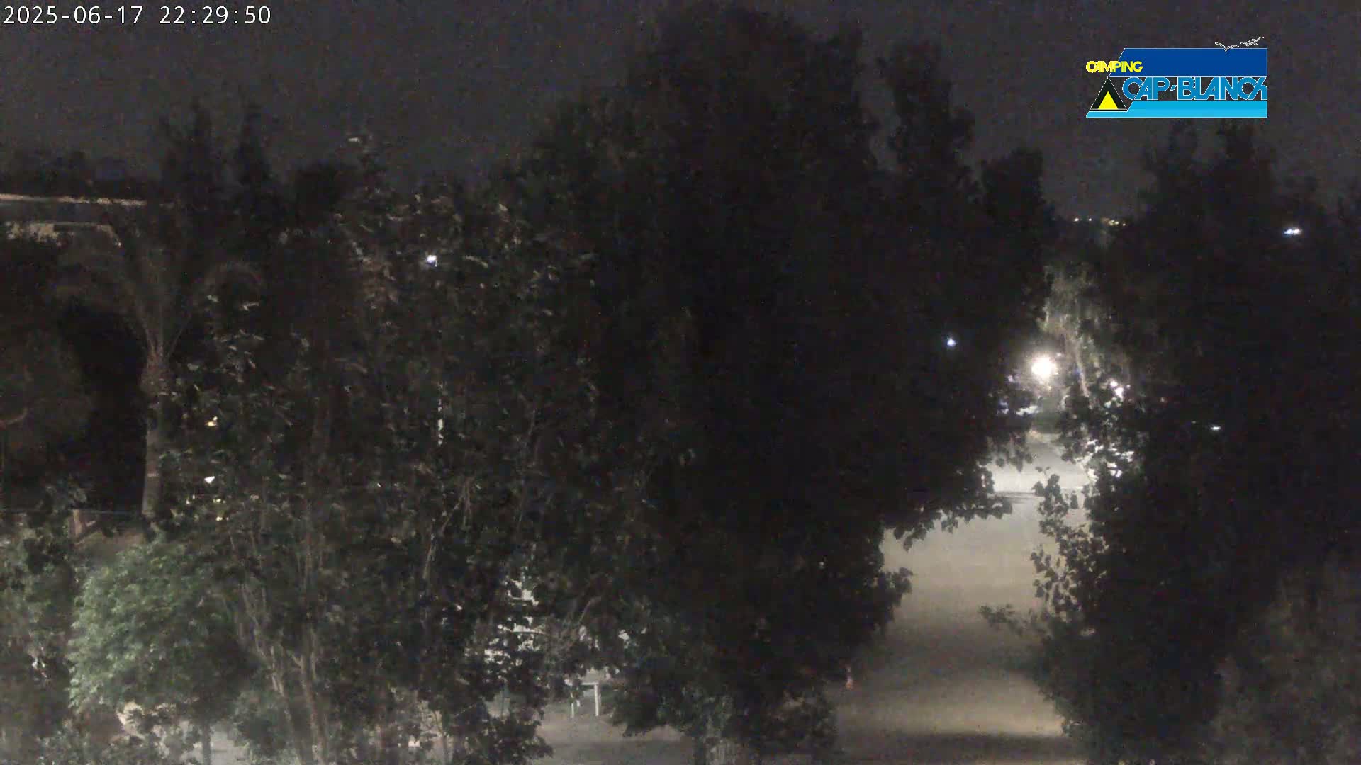 A nighttime view of a dimly lit area, partially obscured by numerous dark trees under a clear sky.