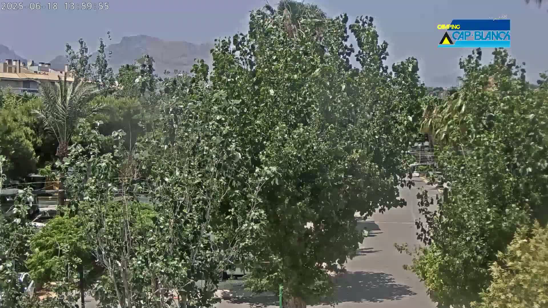 A mostly sunny view of a parking lot surrounded by lush green trees and shrubs, with distant mountains visible in the background.