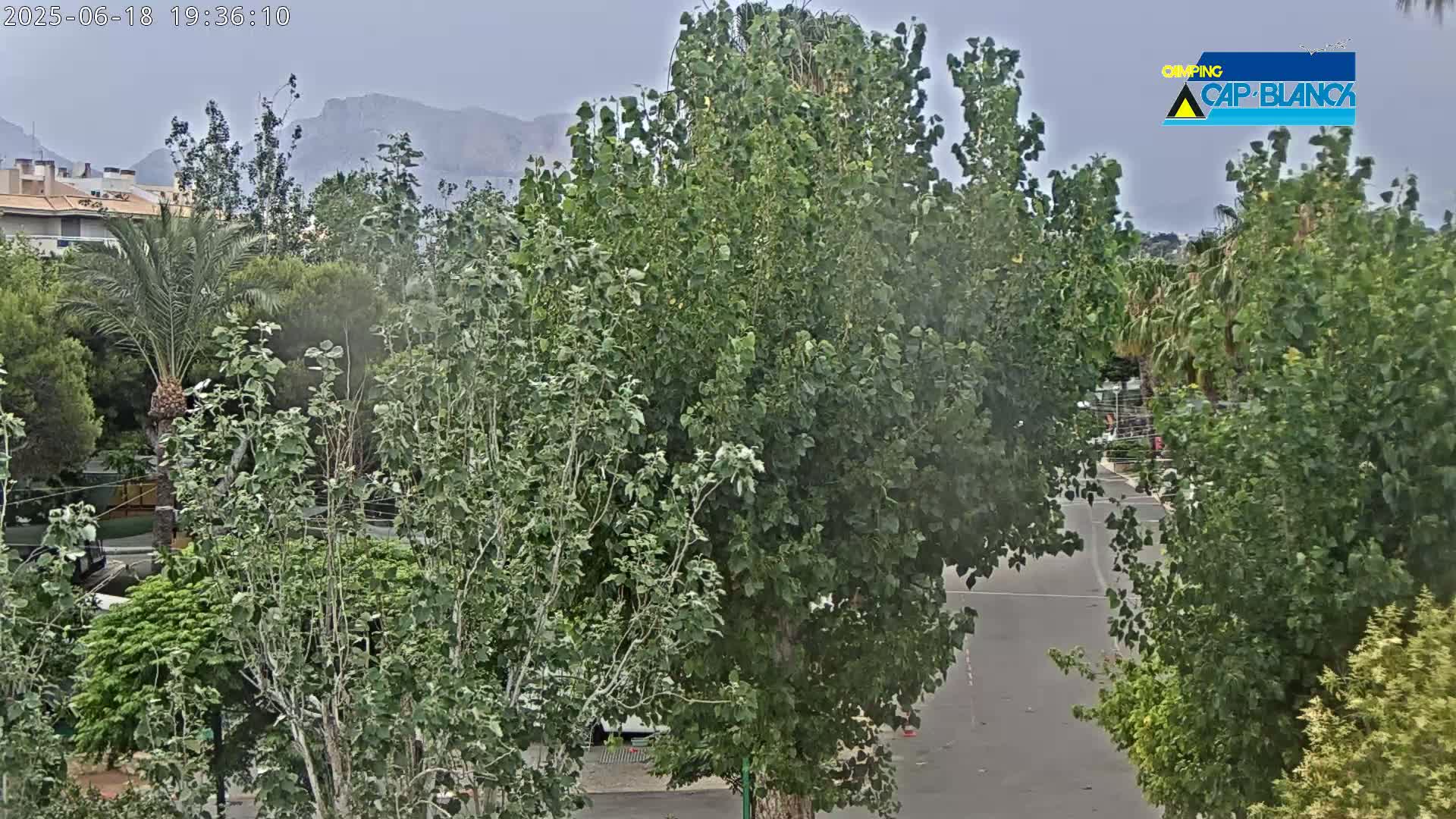 A view of lush green trees and shrubs, a paved road, and distant mountains under an overcast sky.