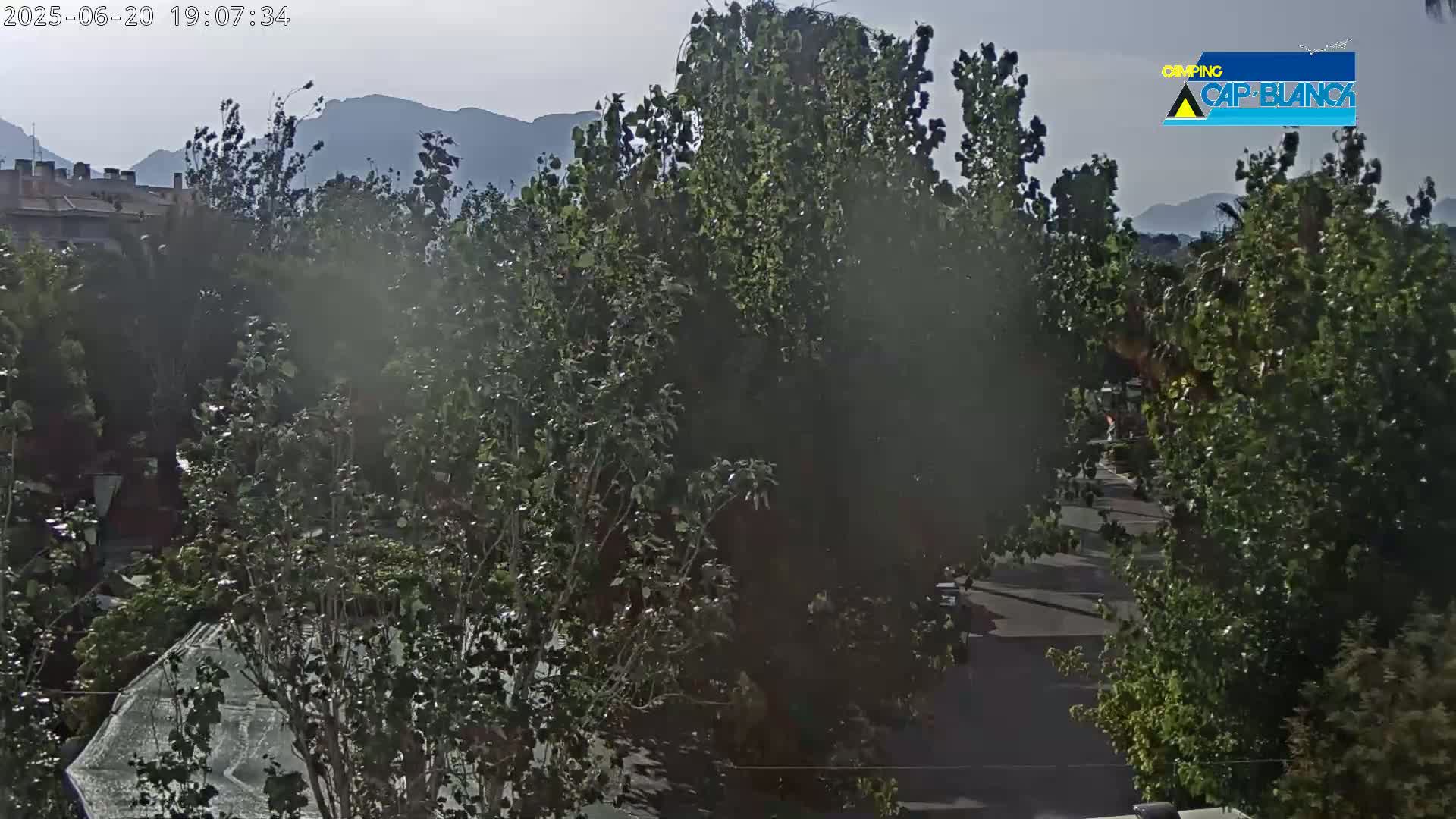 A hazy, sunny view overlooks a tree-lined street leading toward distant mountains.
