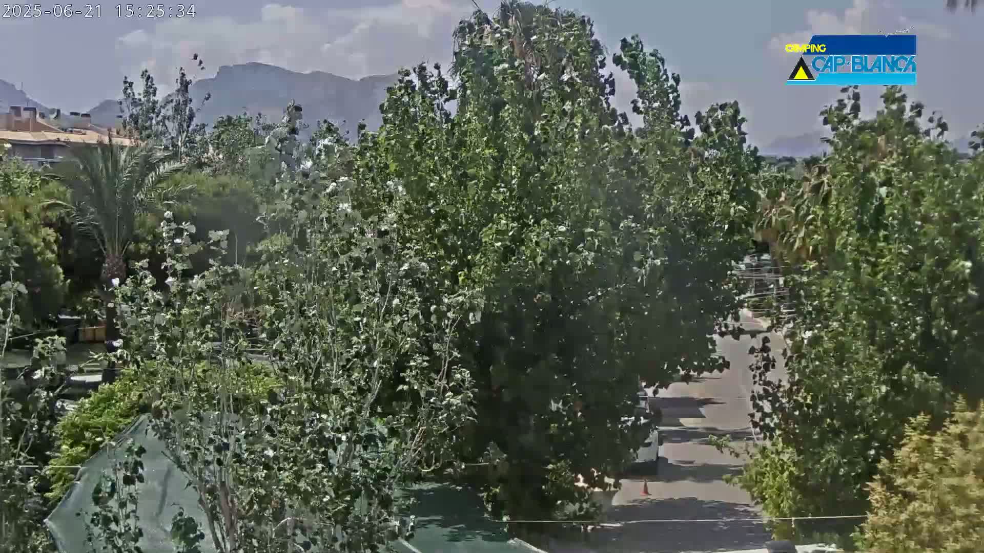 A partly sunny day shows a view of lush green trees and shrubs, a paved road, and distant mountains.