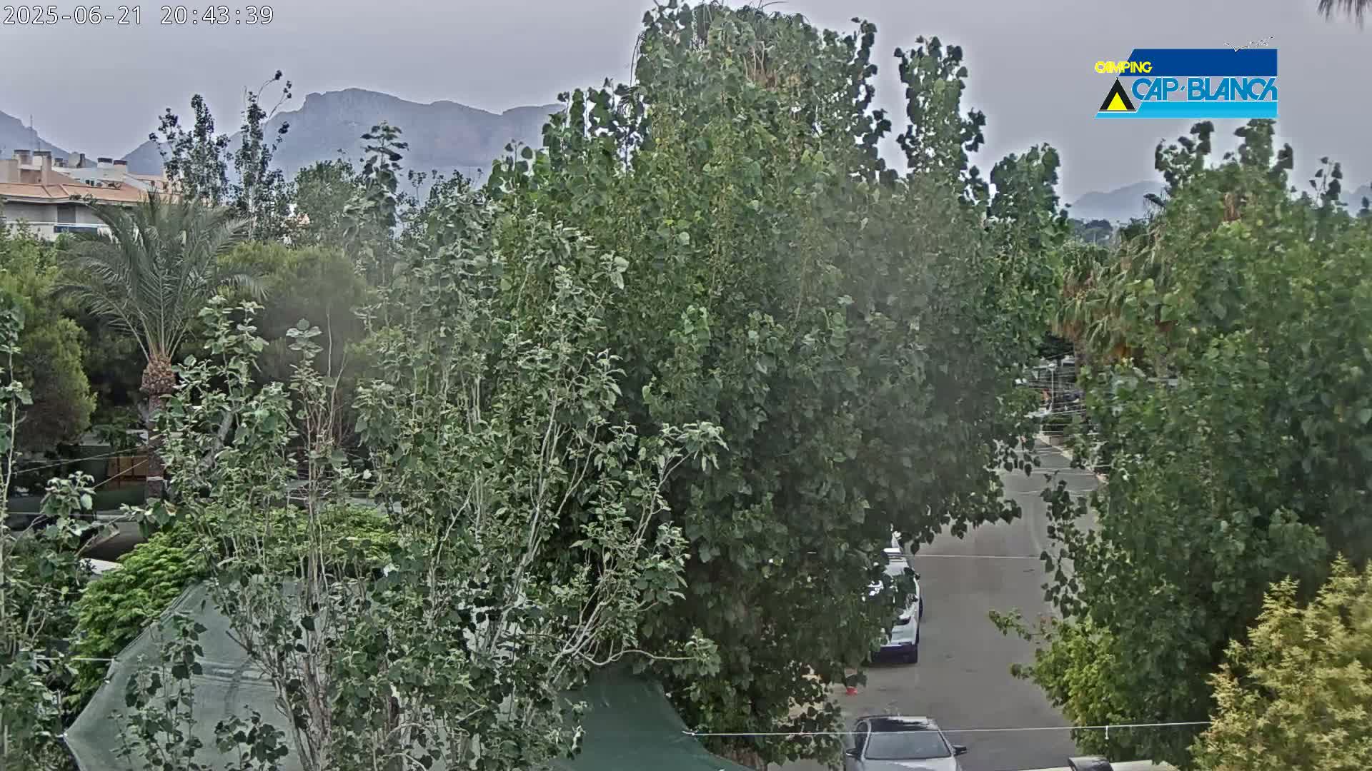 A view of lush green trees and foliage surrounding a road with a few cars parked along it, under an overcast sky, with mountains in the background.
