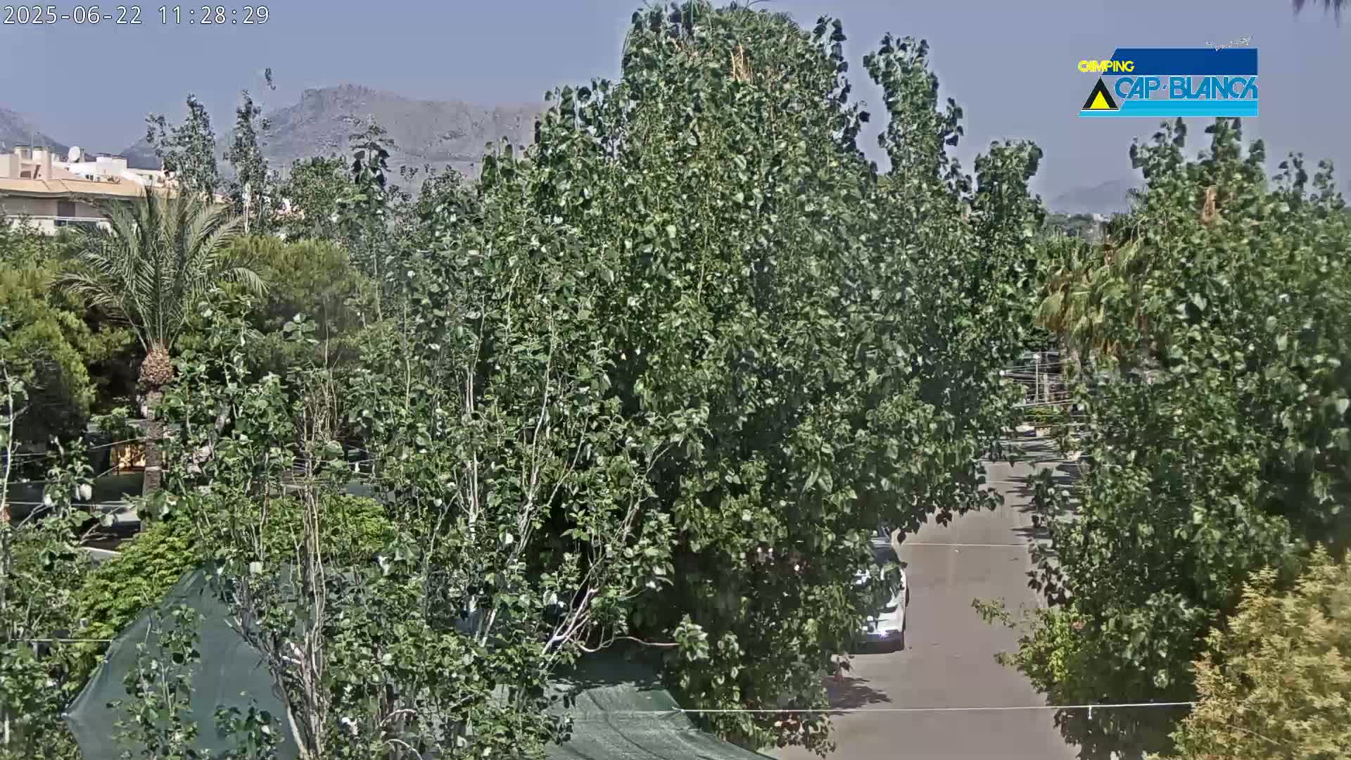 A sunny day reveals a street lined with lush green trees, a white car parked on the side, and distant mountains under a clear sky.