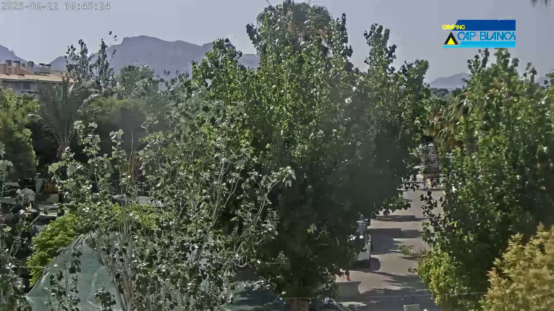 A slightly hazy, sunny day reveals a view of lush green trees and foliage, a paved road with a few vehicles, and mountains in the distance.