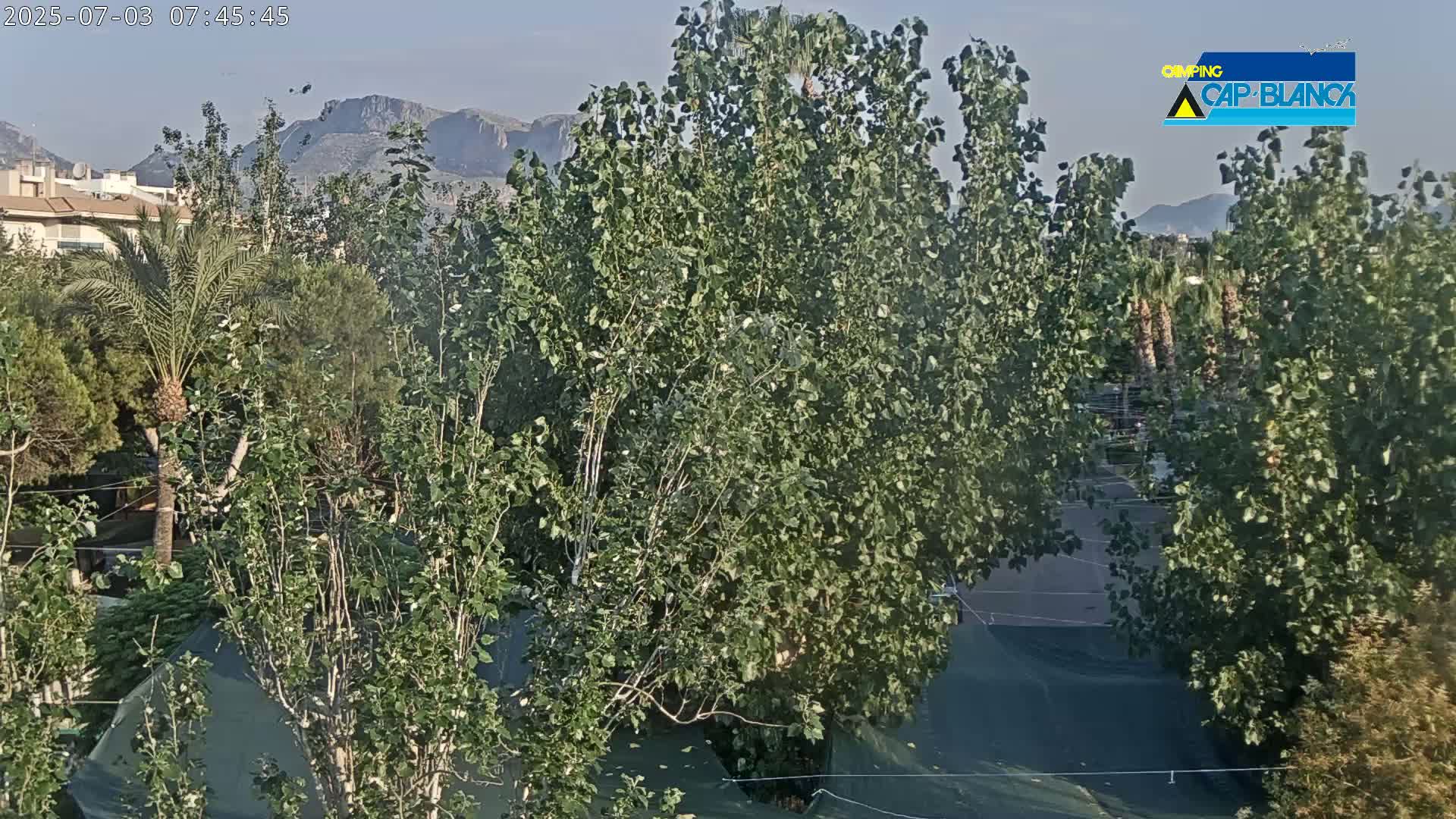 Altea, Inside Camping Cap-Blanch - Alicante, Valencia, Spain