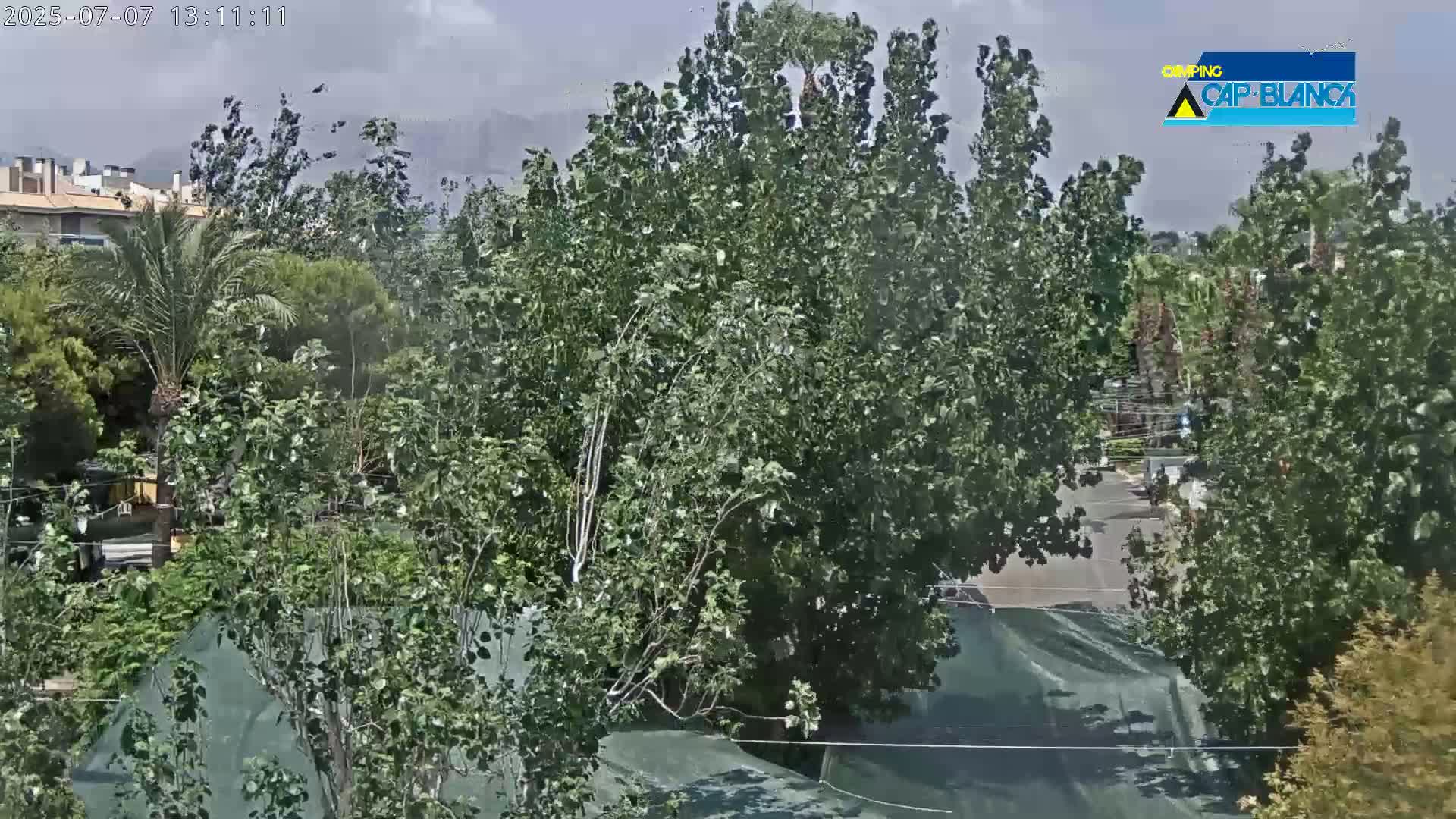 Altea, Inside Camping Cap-Blanch - Alicante, Valencia, Spain