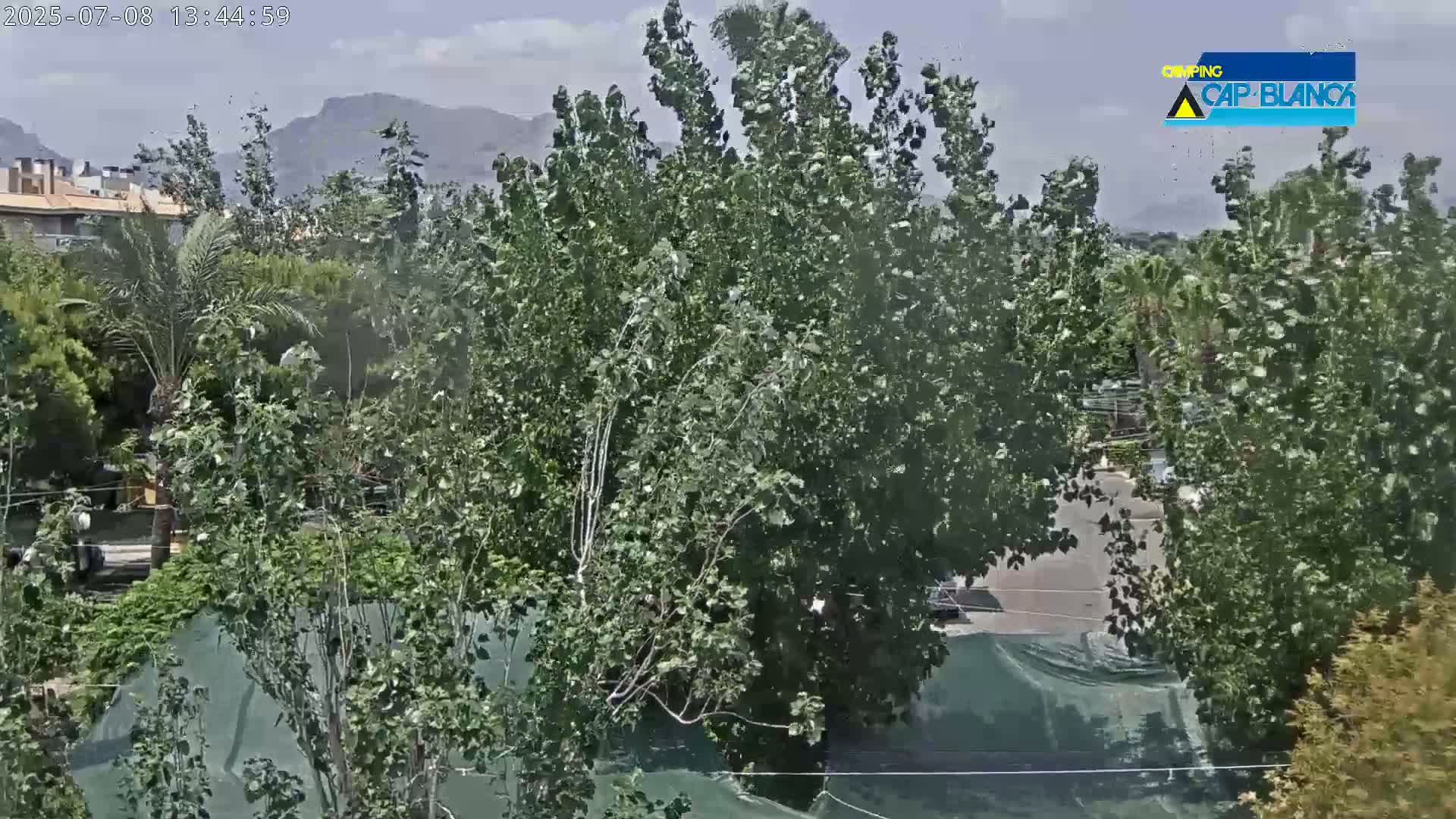 Altea, Inside Camping Cap-Blanch - Alicante, Valencia, Spain