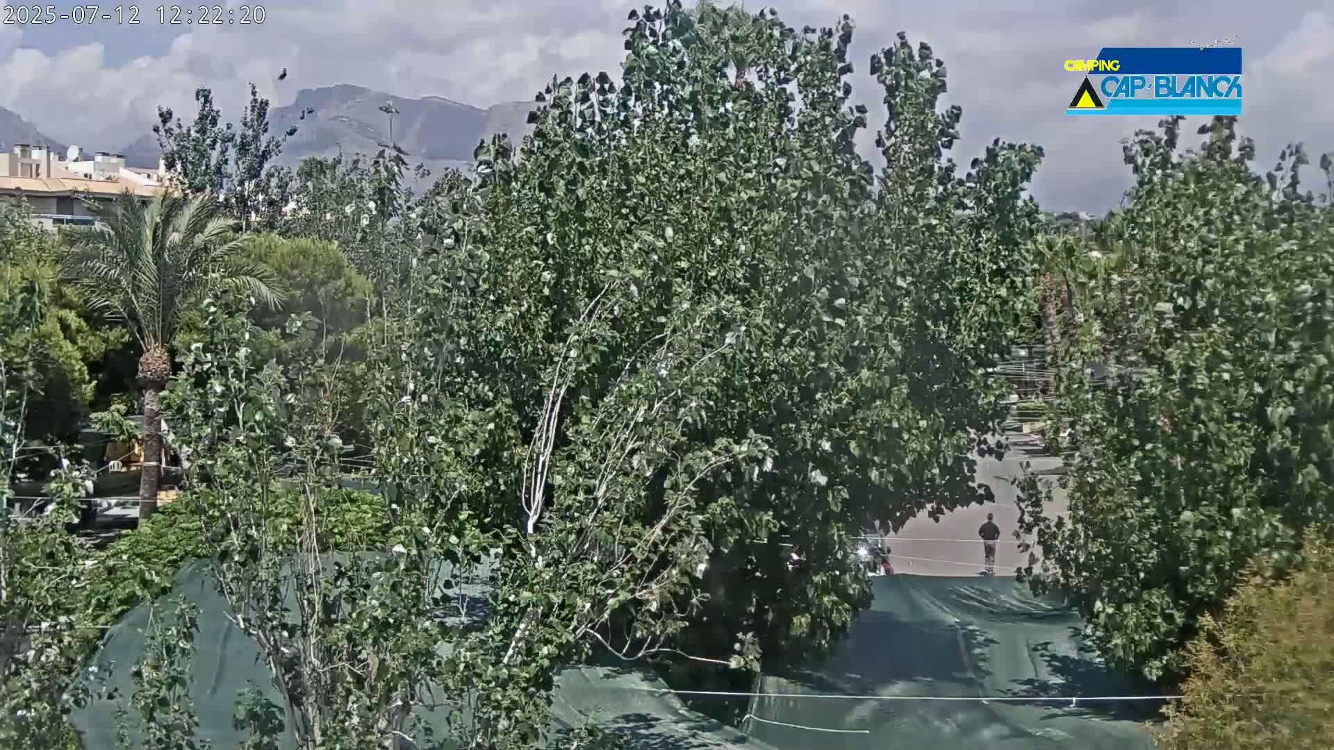 Altea, Inside Camping Cap-Blanch - Alicante, Valencia, Spain