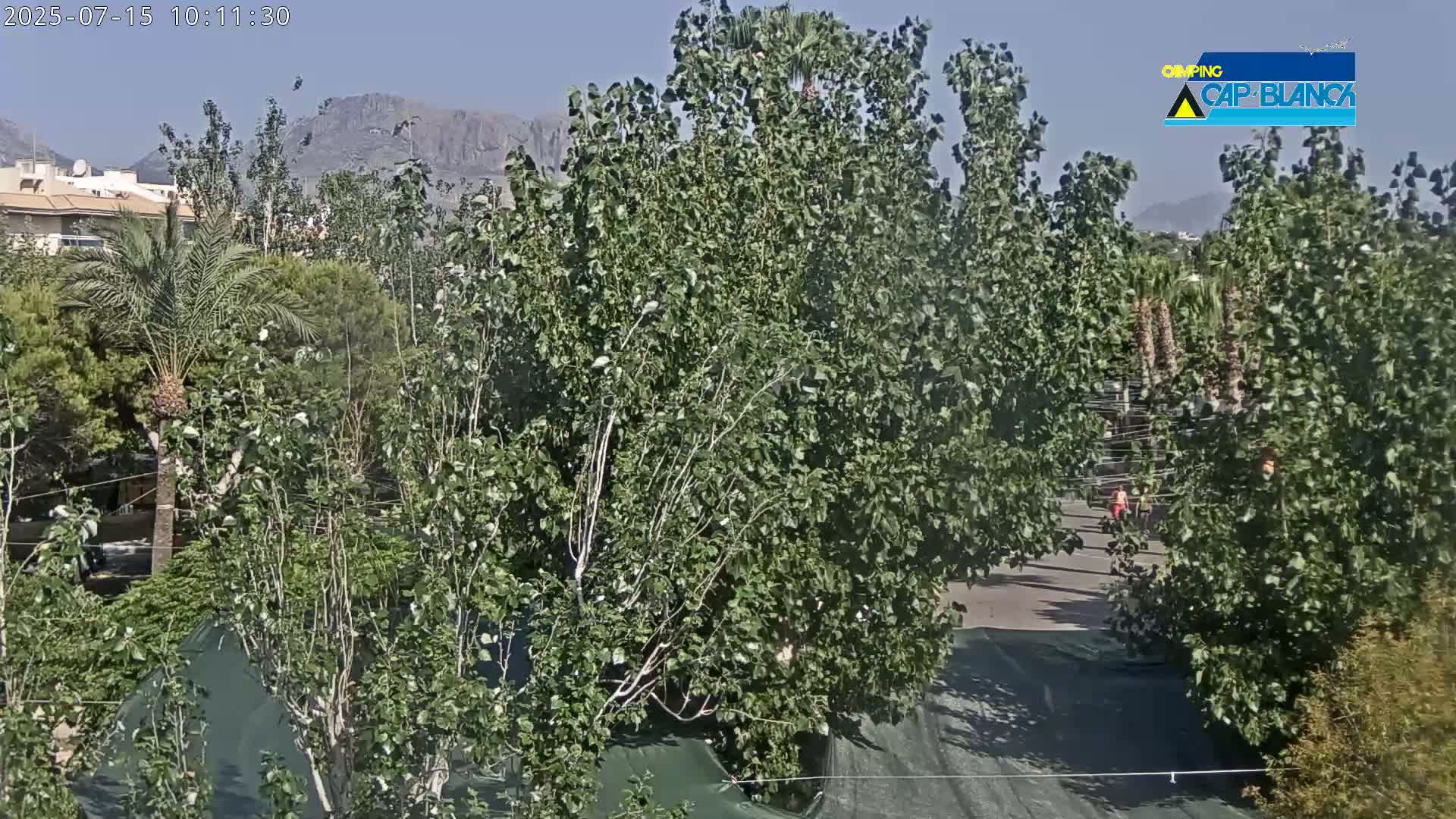 Lush green trees and palm trees fill the foreground, with a clear view of distant mountains under a bright, sunny sky.