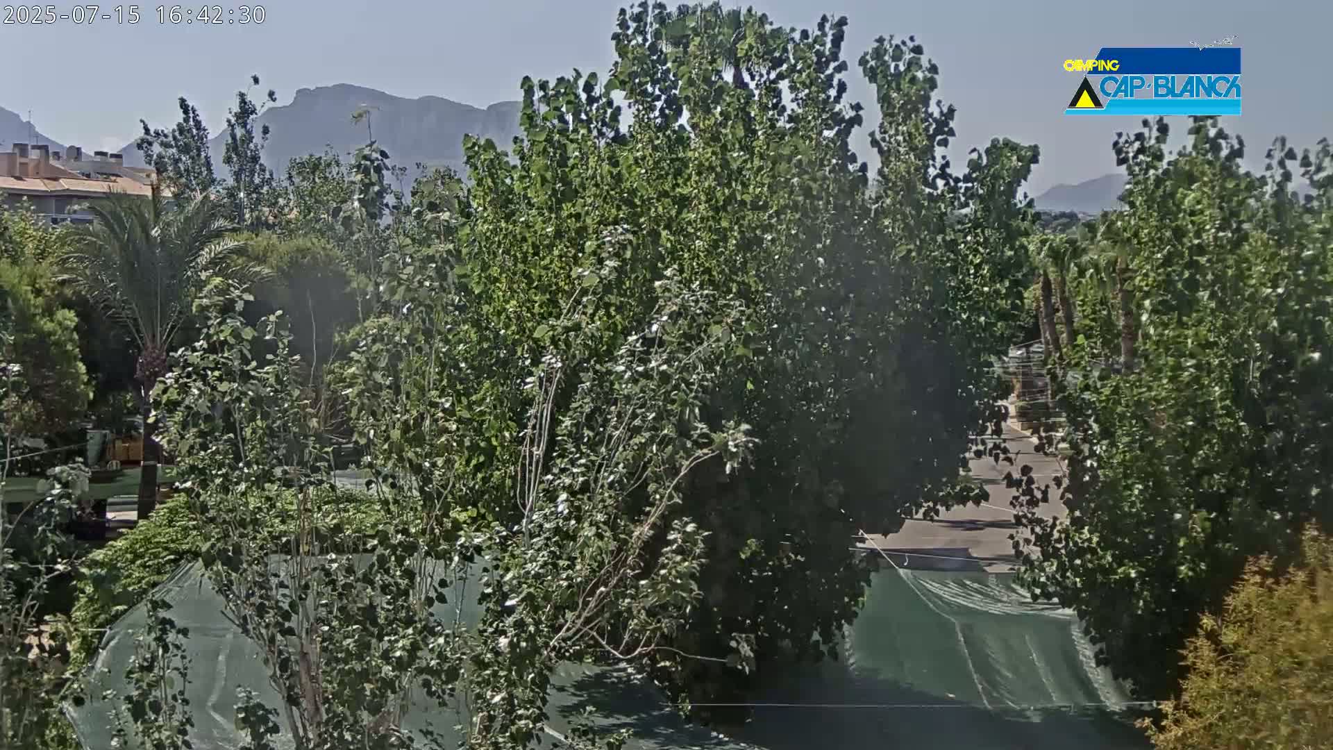 Altea, Inside Camping Cap-Blanch - Alicante, Valencia, Spain