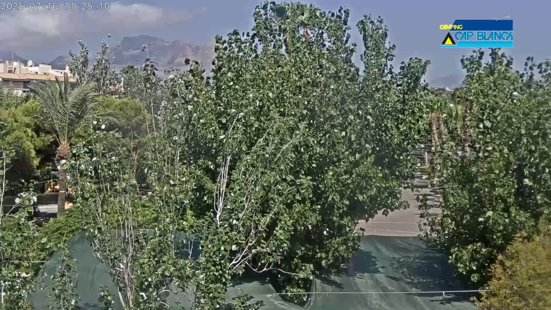 Altea, Inside Camping Cap-Blanch - Alicante, Valencia, Spain
