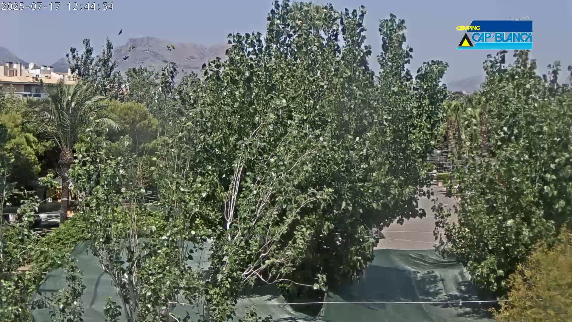 Altea, Inside Camping Cap-Blanch - Alicante, Valencia, Spain