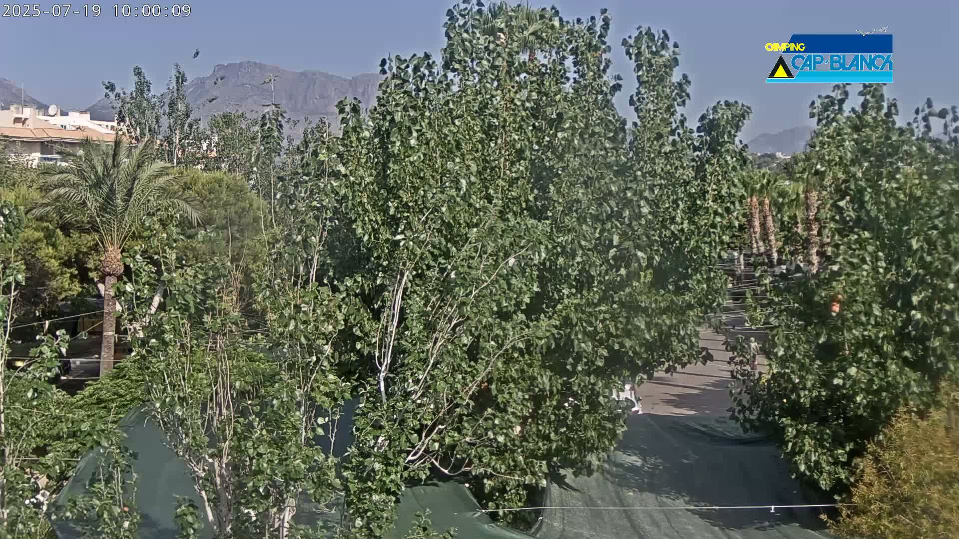 Lush green trees and vegetation fill the frame, with mountains visible in the background under a clear, sunny sky.