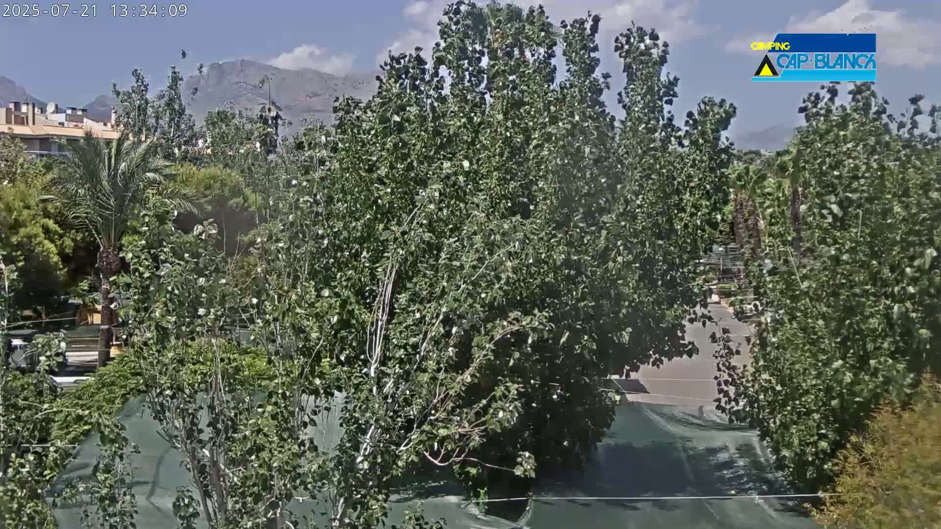 Altea, Inside Camping Cap-Blanch - Alicante, Valencia, Spain