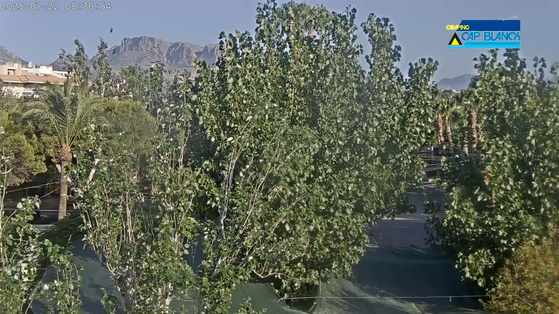 Altea, Inside Camping Cap-Blanch - Alicante, Valencia, Spain