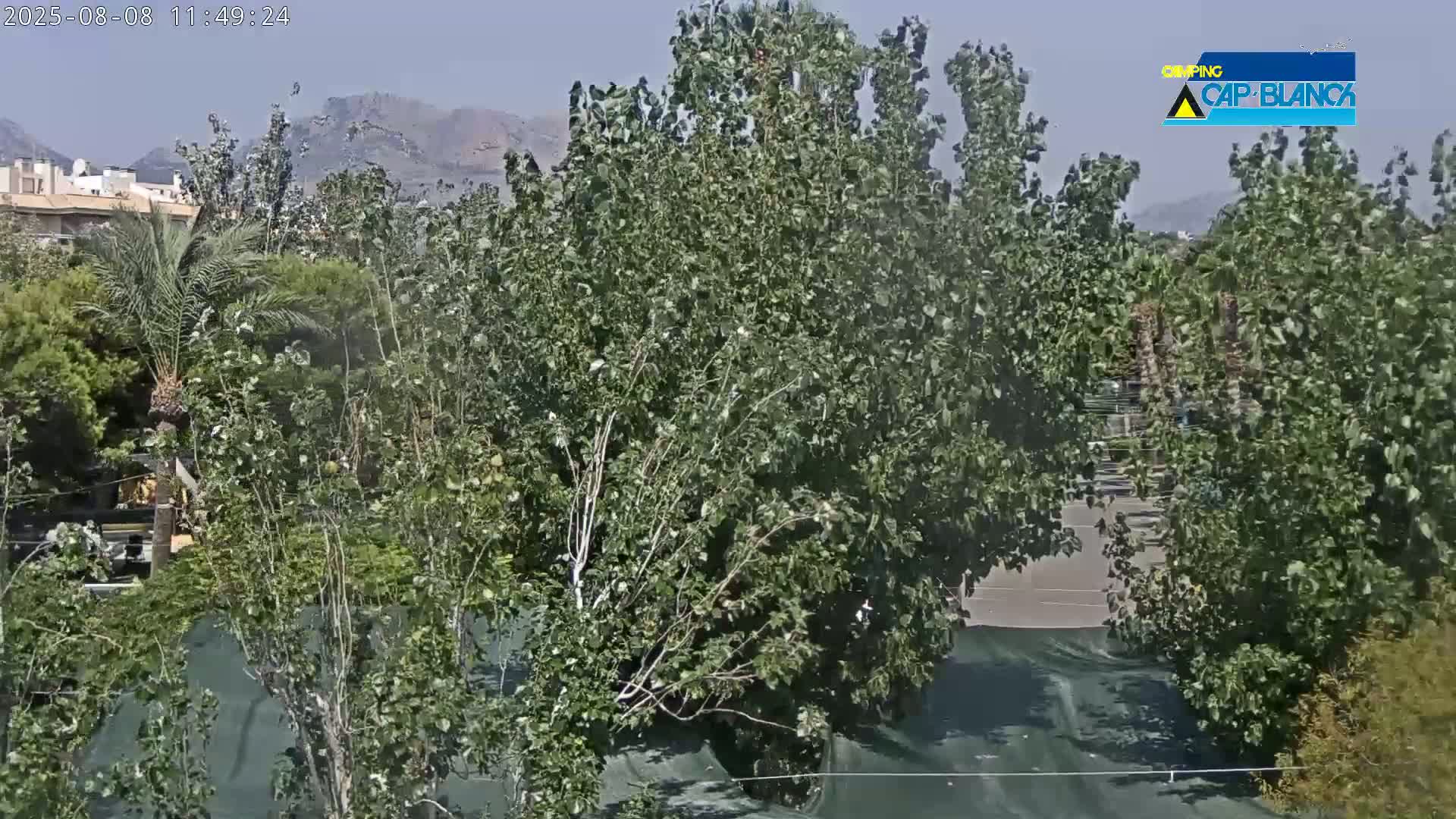 Altea, Inside Camping Cap-Blanch - Alicante, Valencia, Spain
