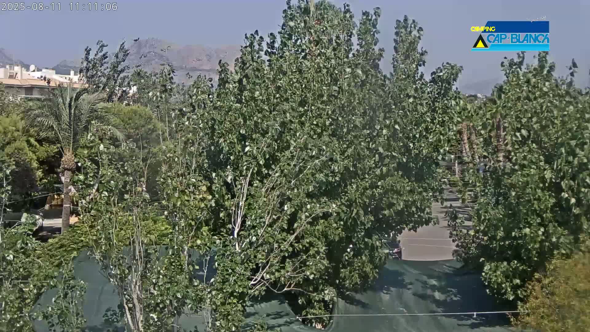 Altea, Inside Camping Cap-Blanch - Alicante, Valencia, Spain