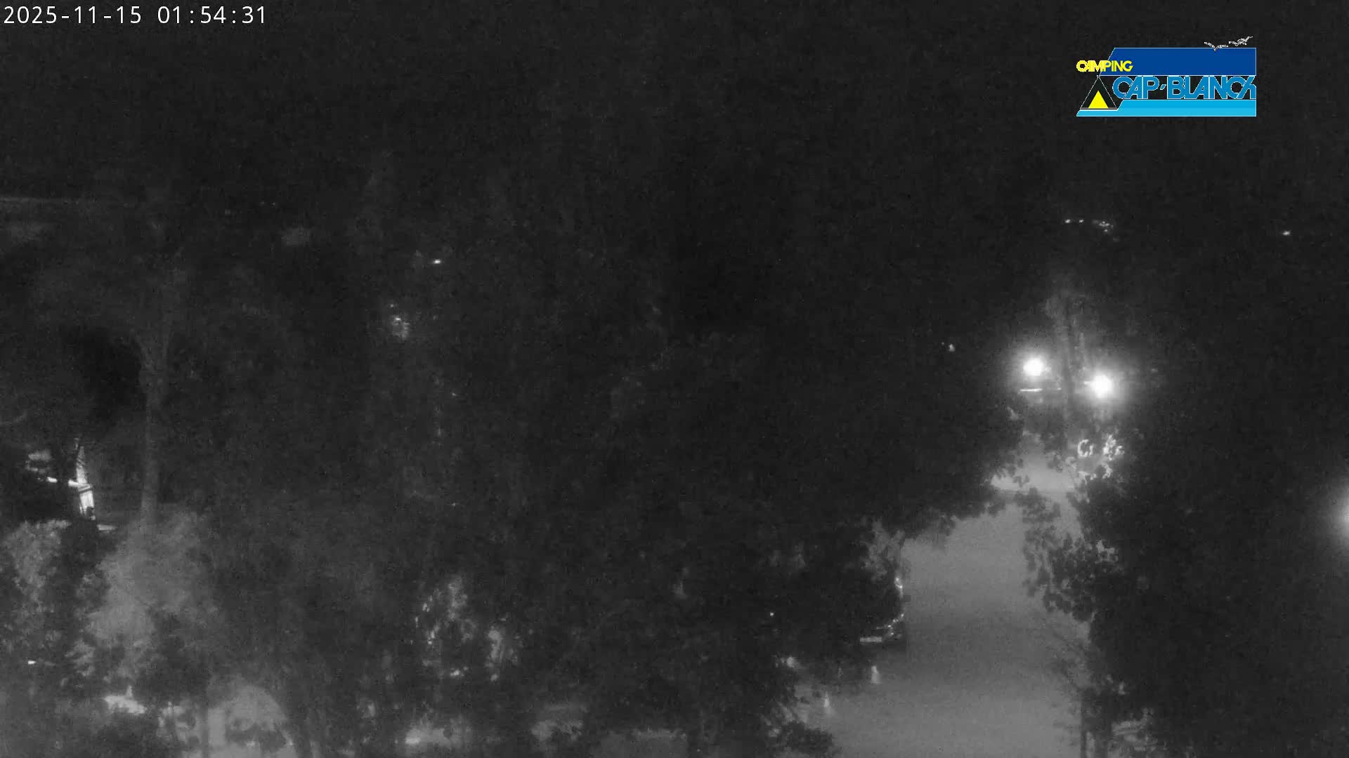 The image shows a dark, rainy night scene with trees and a wet road illuminated by several bright lights.