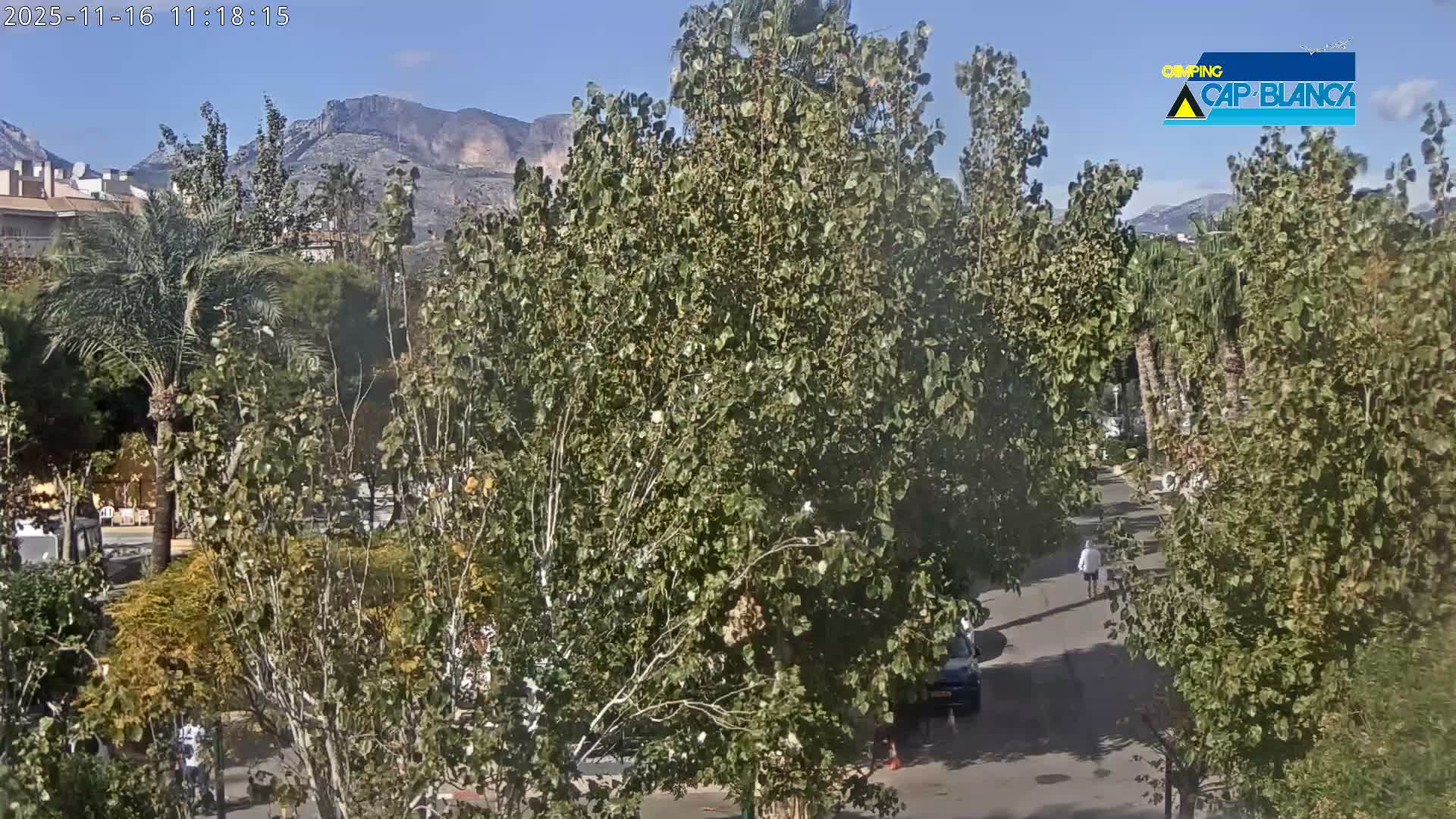A clear and sunny day illuminates an outdoor scene filled with lush green trees, distant mountains, and a street with a few people and a car.