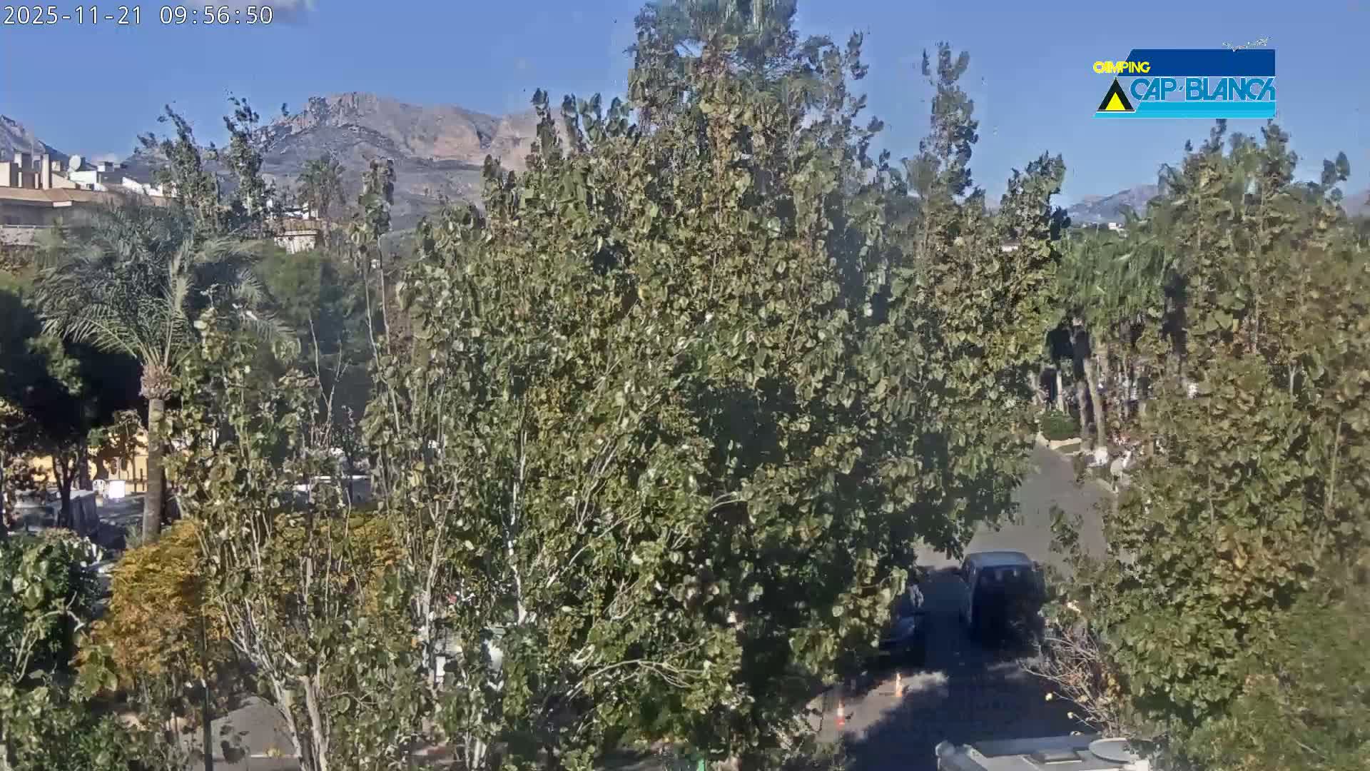 The image depicts a sunlit, clear day overlooking a street partially obscured by vibrant green trees, with buildings and rugged mountains visible in the background.