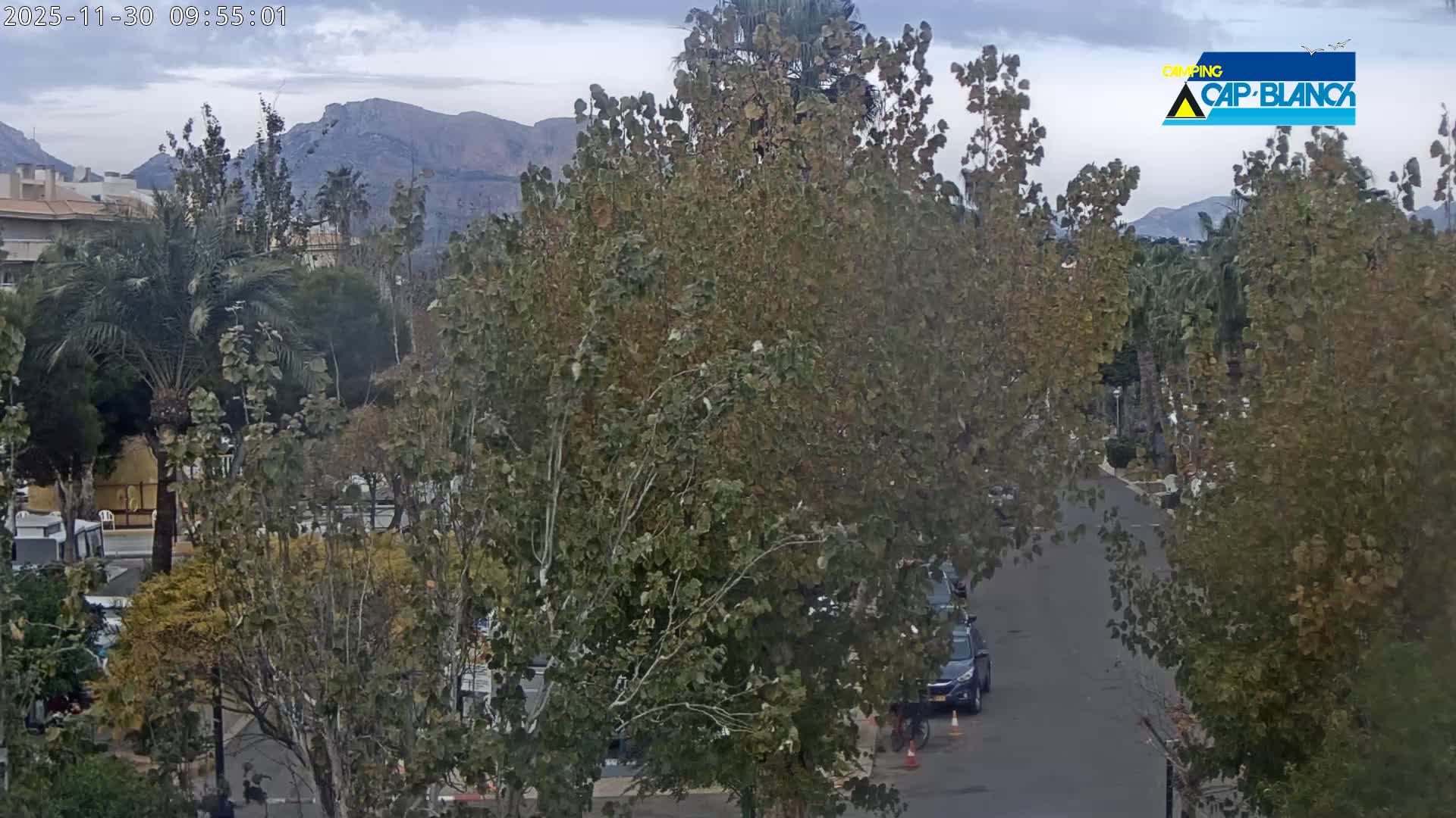 An urban landscape on a cloudy day shows a winding street bordered by a mix of leafy green and autumn-toned trees, with residential buildings and distant mountains visible in the background.