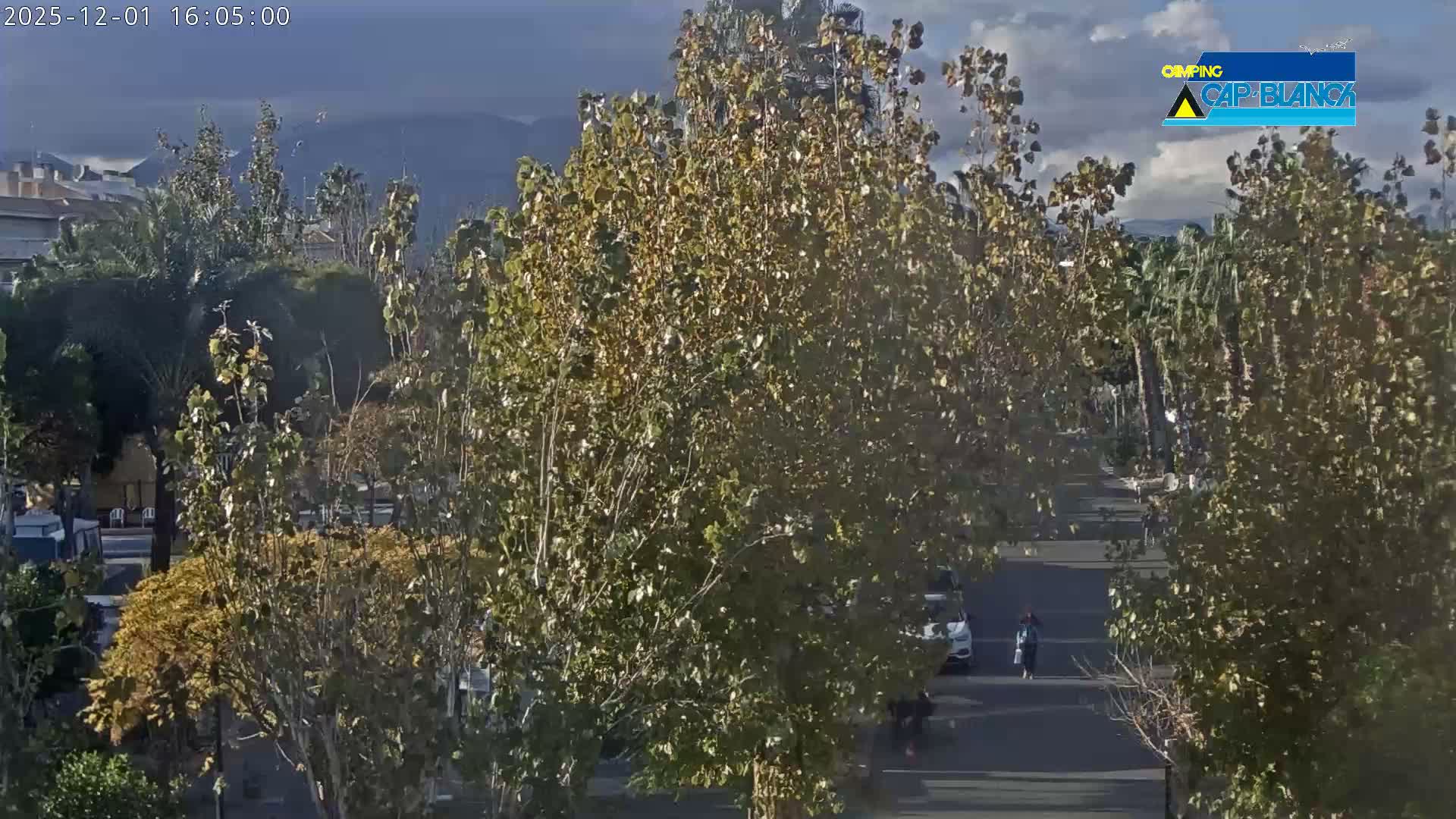 Altea, Inside Camping Cap-Blanch - Alicante, Valencia, Spain