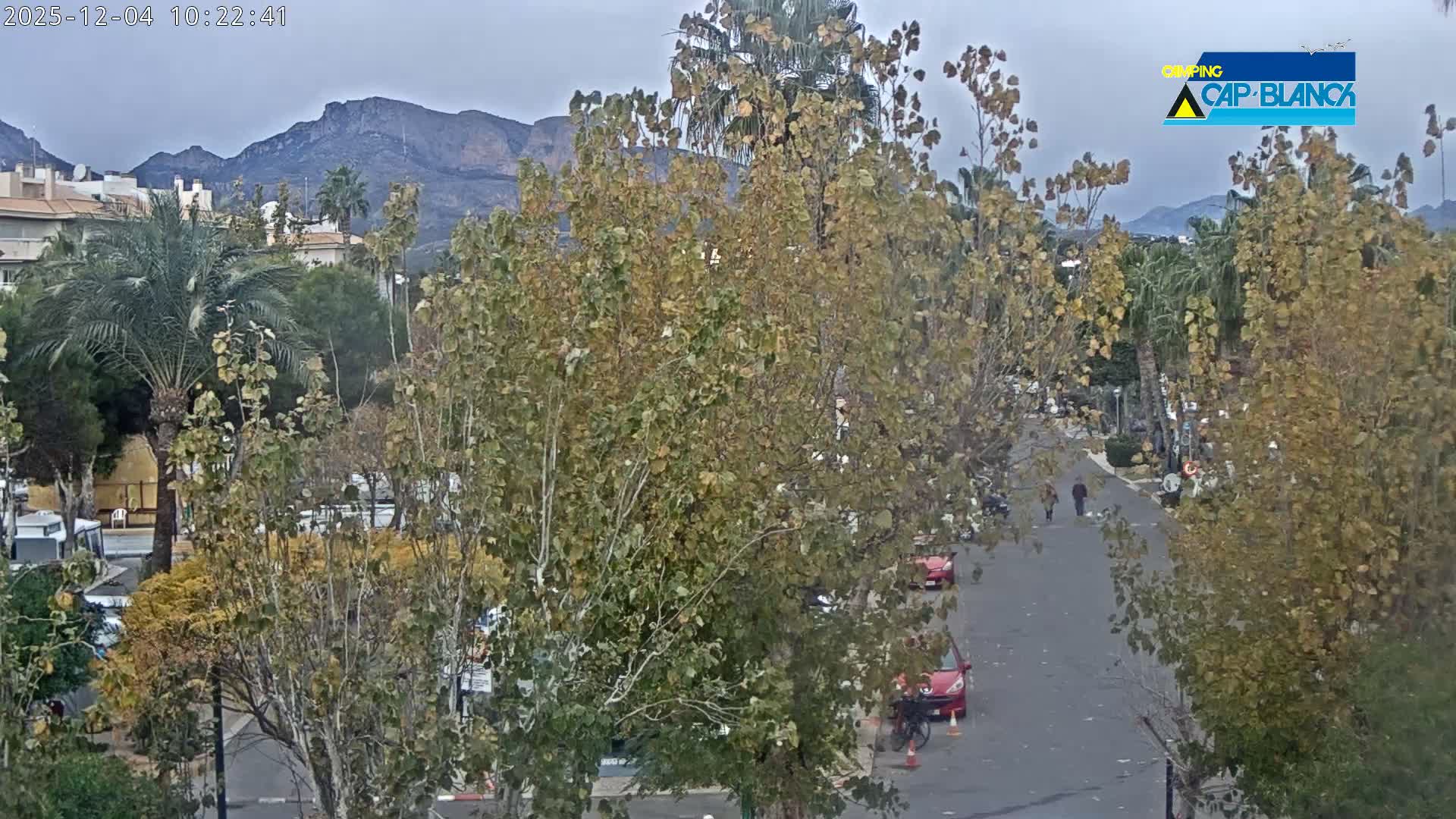 On a cloudy day, a paved road winds through a town featuring numerous trees with green and yellowing foliage, a few walking people, and parked cars, all set against a backdrop of distant, rugged mountains.