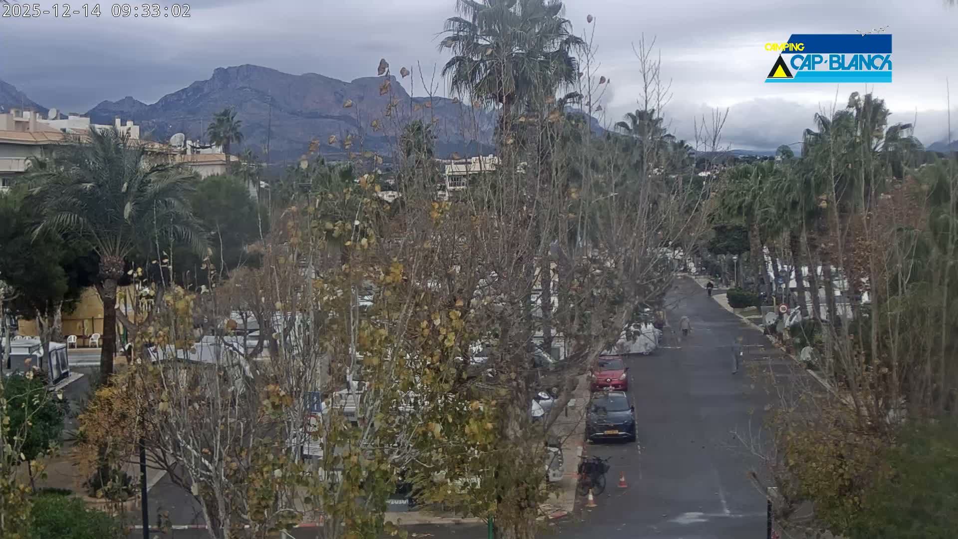 On a cloudy day, a paved road winds through a town featuring numerous trees with green and yellowing foliage, a few walking people, and parked cars, all set against a backdrop of distant, rugged mountains.