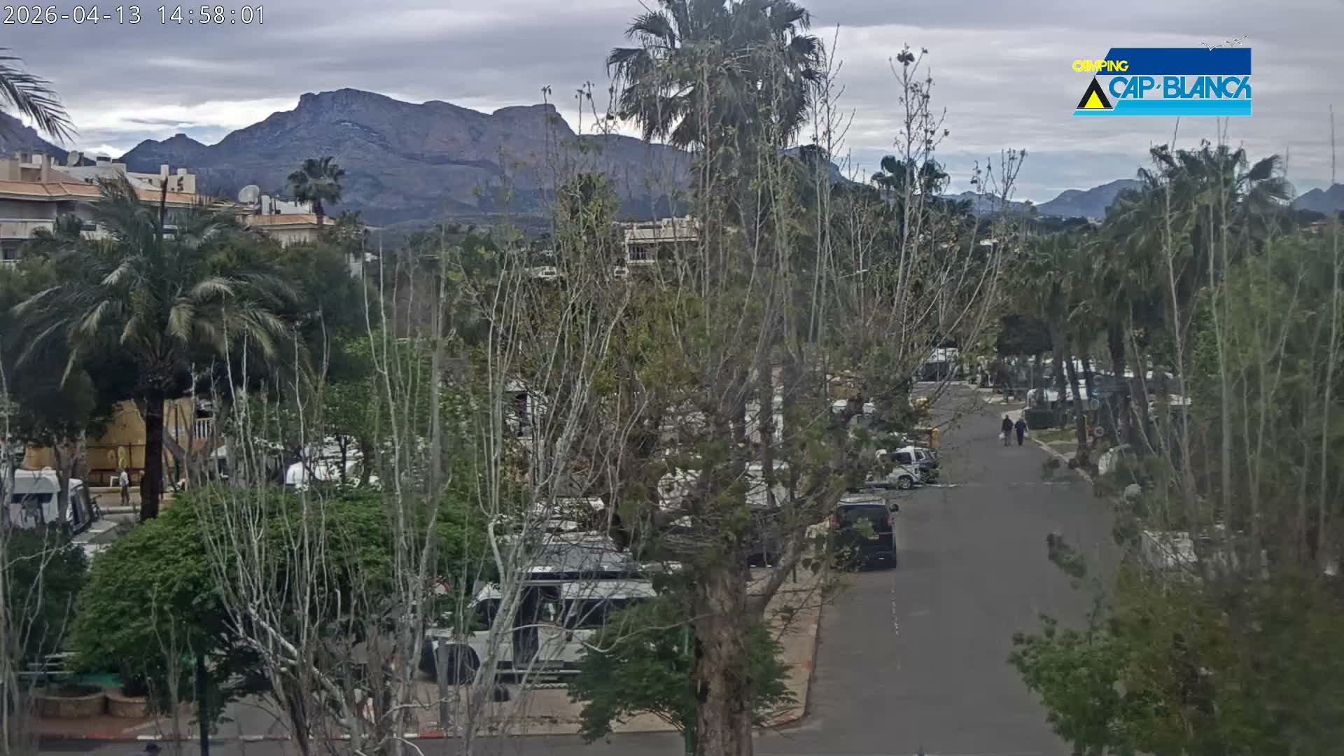 On a cloudy day, a paved road winds through a town featuring numerous trees with green and yellowing foliage, a few walking people, and parked cars, all set against a backdrop of distant, rugged mountains.