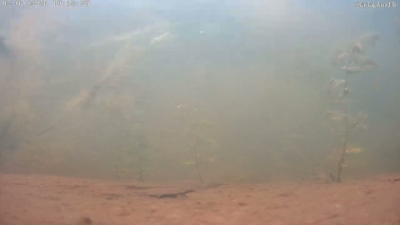 Sodankyla, Kitinen River Underwater Fish World Live Cam -  Sodankylä, Northern Lapland (Pohjois-Lappi), Lapland (Lappi), Finland