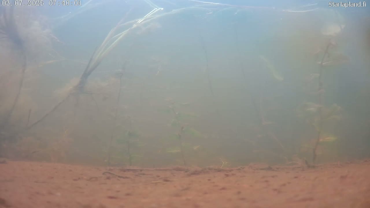 Sodankyla, Kitinen River Underwater Fish World Live Cam -  Sodankylä, Northern Lapland (Pohjois-Lappi), Lapland (Lappi), Finland
