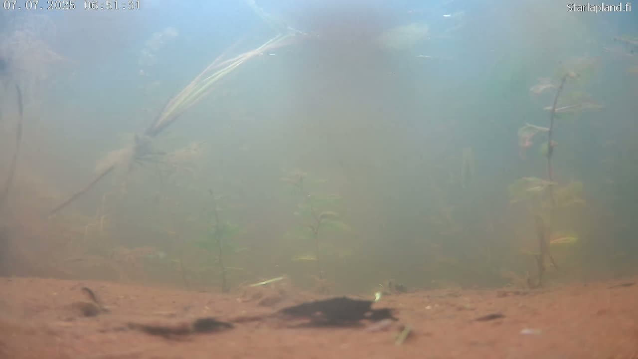 Sodankyla, Kitinen River Underwater Fish World Live Cam -  Sodankylä, Northern Lapland (Pohjois-Lappi), Lapland (Lappi), Finland