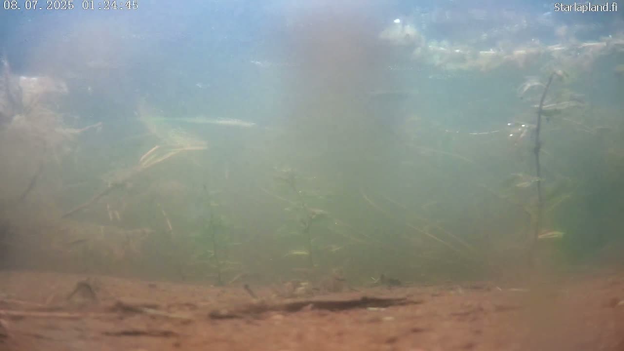 Sodankyla, Kitinen River Underwater Fish World Live Cam -  Sodankylä, Northern Lapland (Pohjois-Lappi), Lapland (Lappi), Finland
