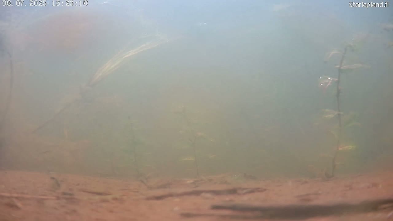 Sodankyla, Kitinen River Underwater Fish World Live Cam -  Sodankylä, Northern Lapland (Pohjois-Lappi), Lapland (Lappi), Finland