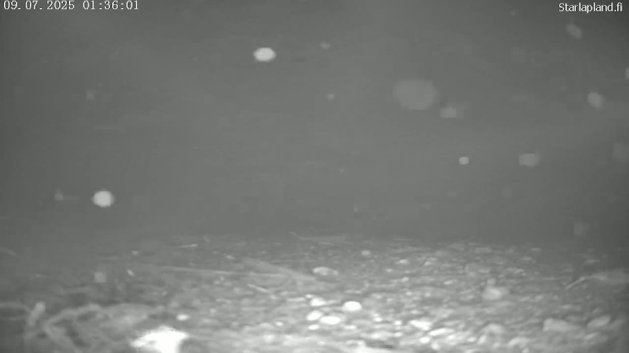 Sodankyla, Kitinen River Underwater Fish World Live Cam -  Sodankylä, Northern Lapland (Pohjois-Lappi), Lapland (Lappi), Finland