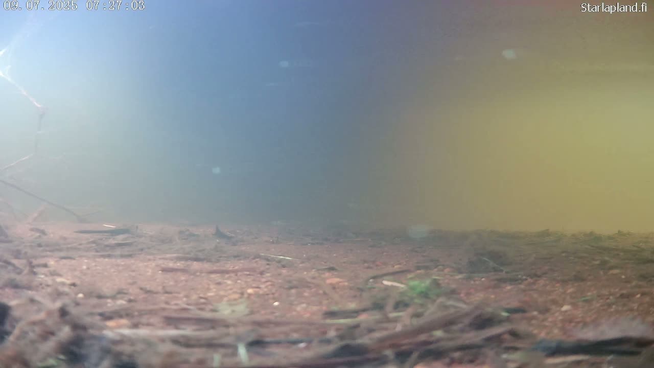 Sodankyla, Kitinen River Underwater Fish World Live Cam -  Sodankylä, Northern Lapland (Pohjois-Lappi), Lapland (Lappi), Finland