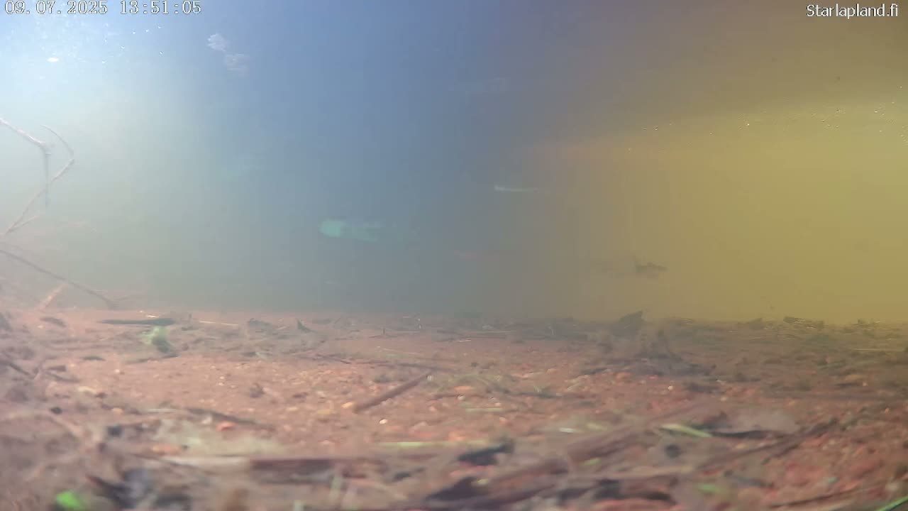 Sodankyla, Kitinen River Underwater Fish World Live Cam -  Sodankylä, Northern Lapland (Pohjois-Lappi), Lapland (Lappi), Finland