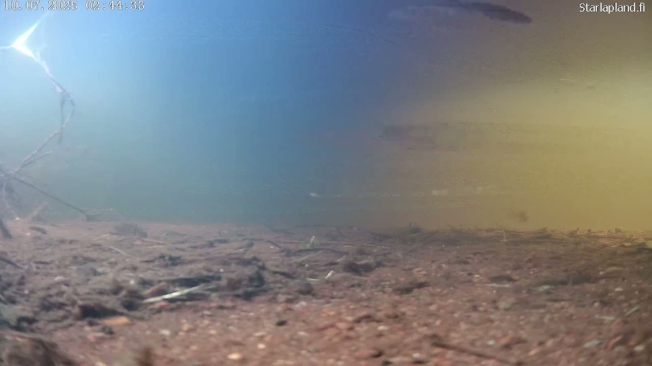 Sodankyla, Kitinen River Underwater Fish World Live Cam -  Sodankylä, Northern Lapland (Pohjois-Lappi), Lapland (Lappi), Finland