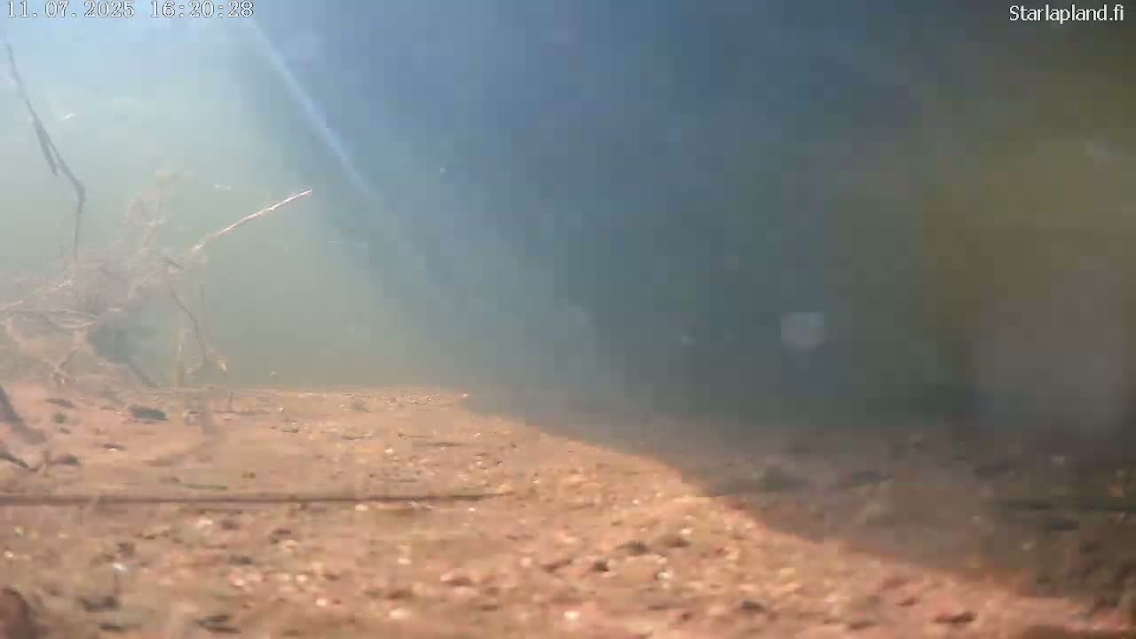 Sodankyla, Kitinen River Underwater Fish World Live Cam -  Sodankylä, Northern Lapland (Pohjois-Lappi), Lapland (Lappi), Finland